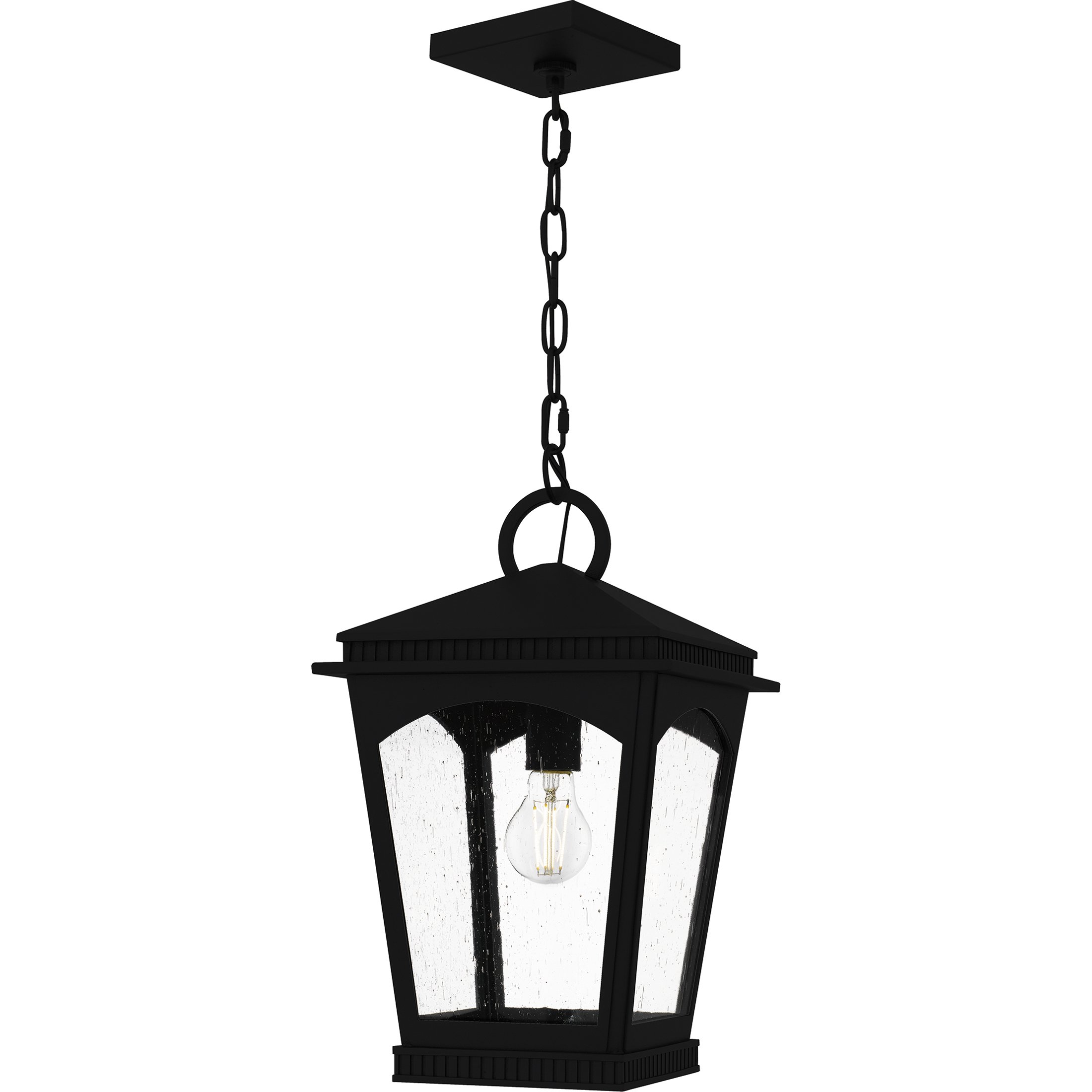 Huck 1 Light 10 inch Earth Black Outdoor Hanging Lantern, Large