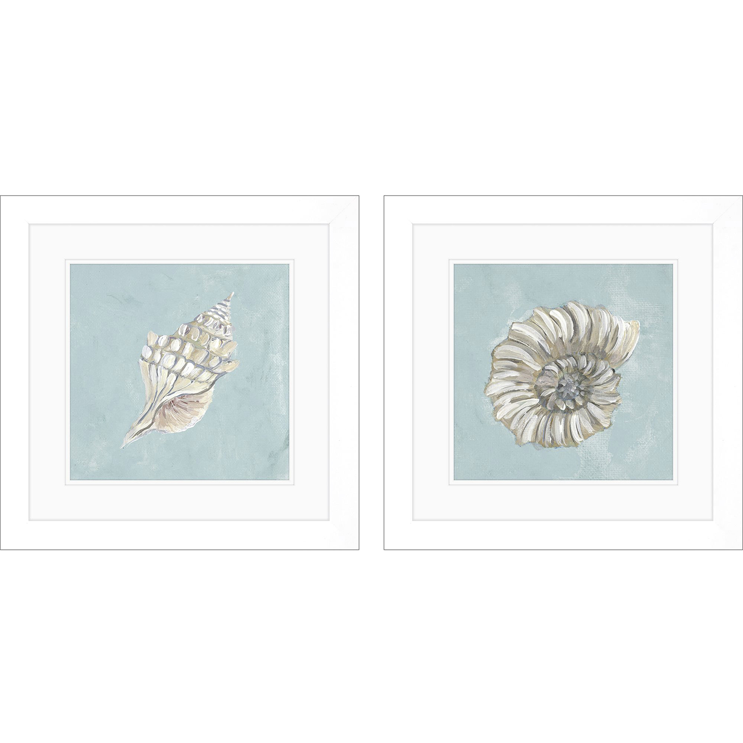 Seashell Green and Blue and Turquoise Framed Art, Propac