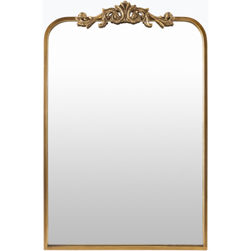 Aarlen 36 X 23.63 inch Antiqued Wall Mirror