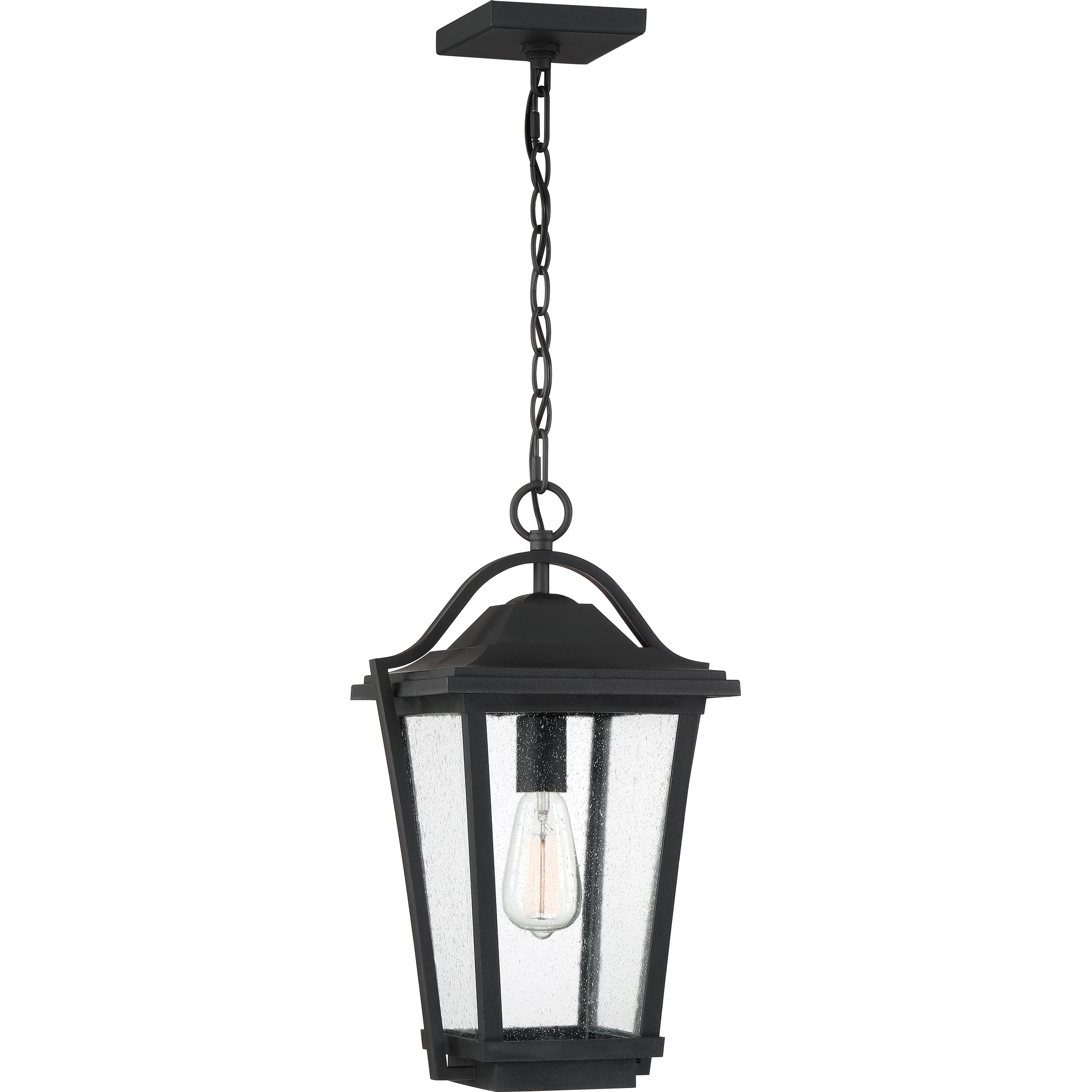 Darius 1 Light 11.25 inch Earth Black Outdoor Hanging Lantern