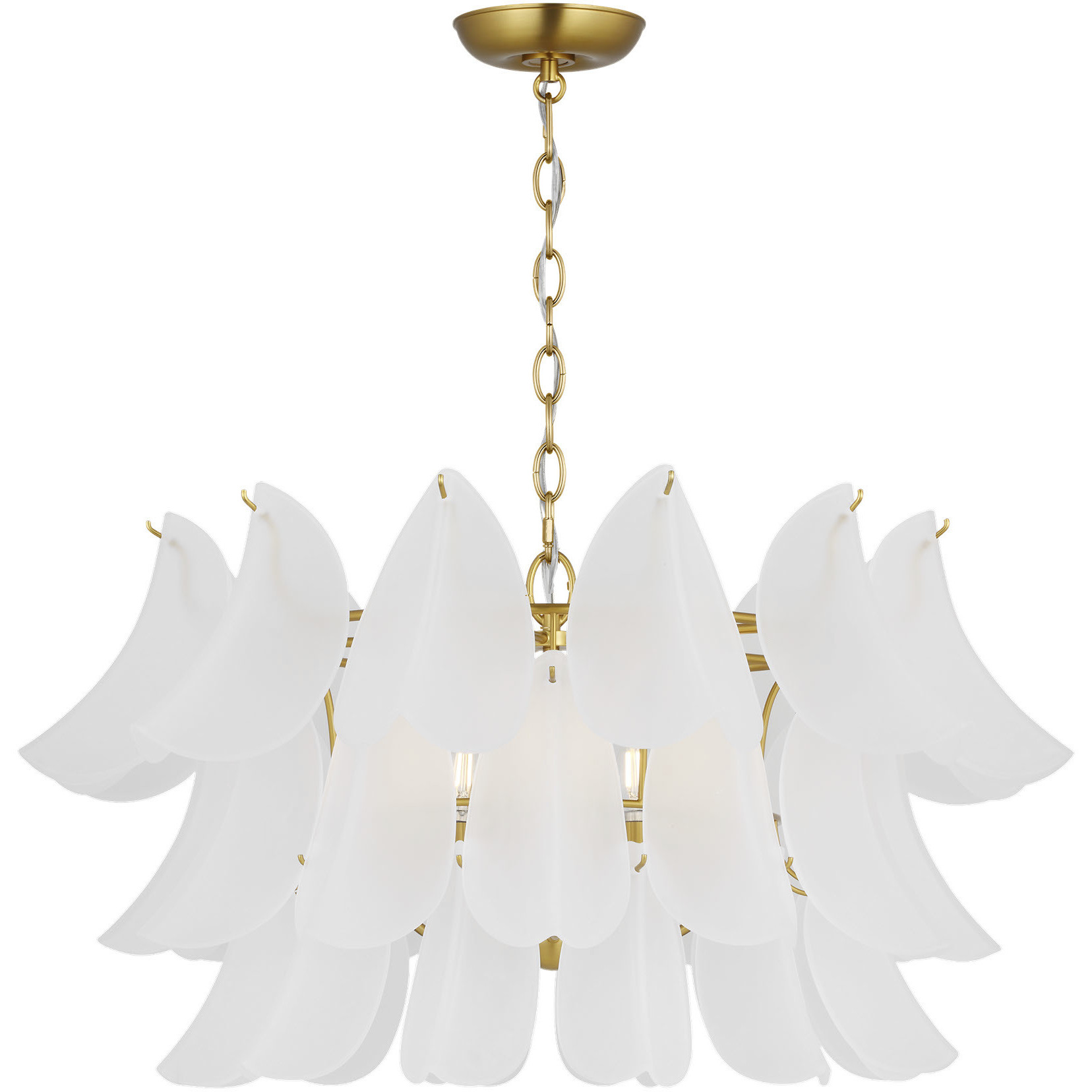 C&M by Chapman & Myers Chloe 5 Light 31.75 inch Burnished Brass Chandelier Ceiling Light