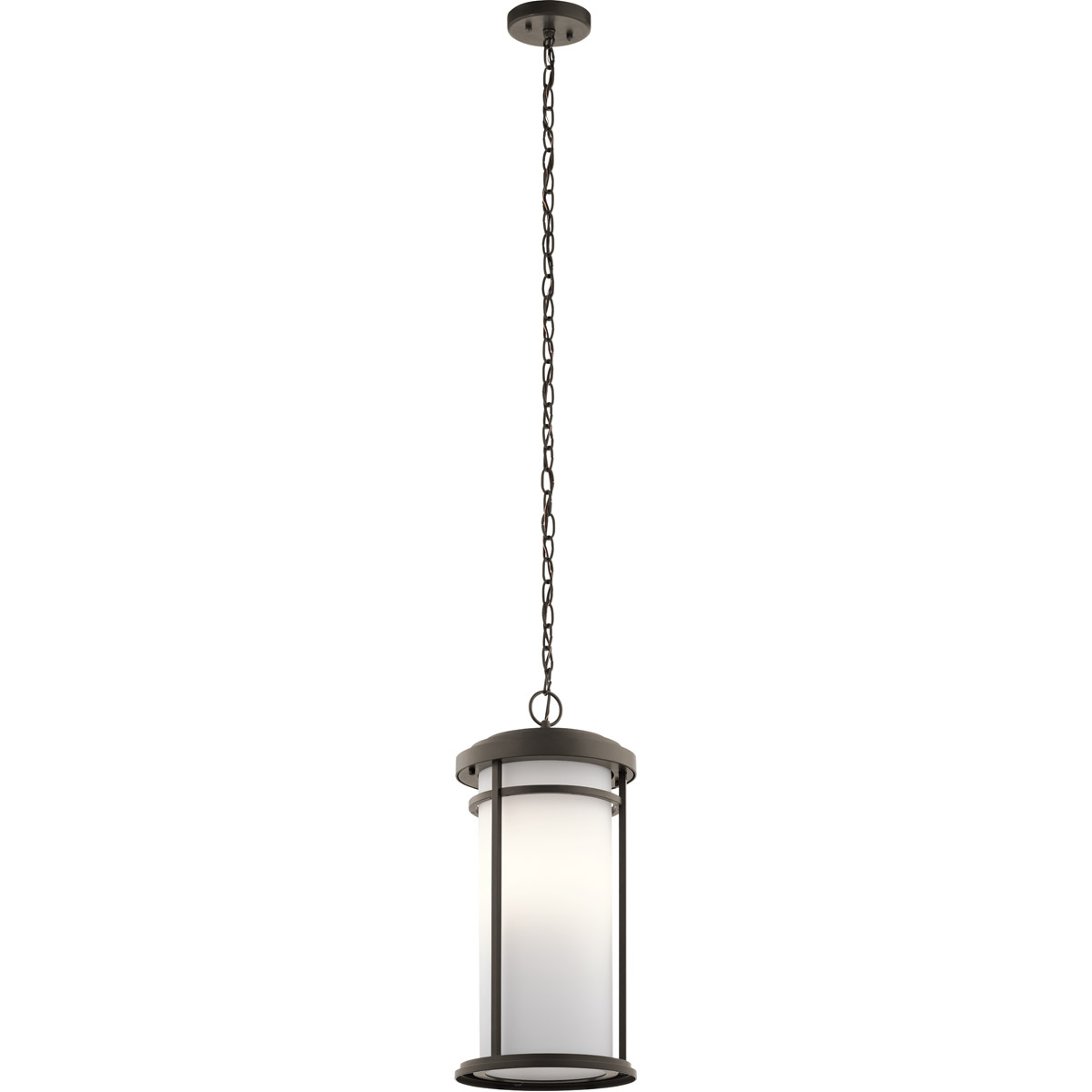 Toman 1 Light 10 inch Olde Bronze Outdoor Hanging Pendant in Incandescent