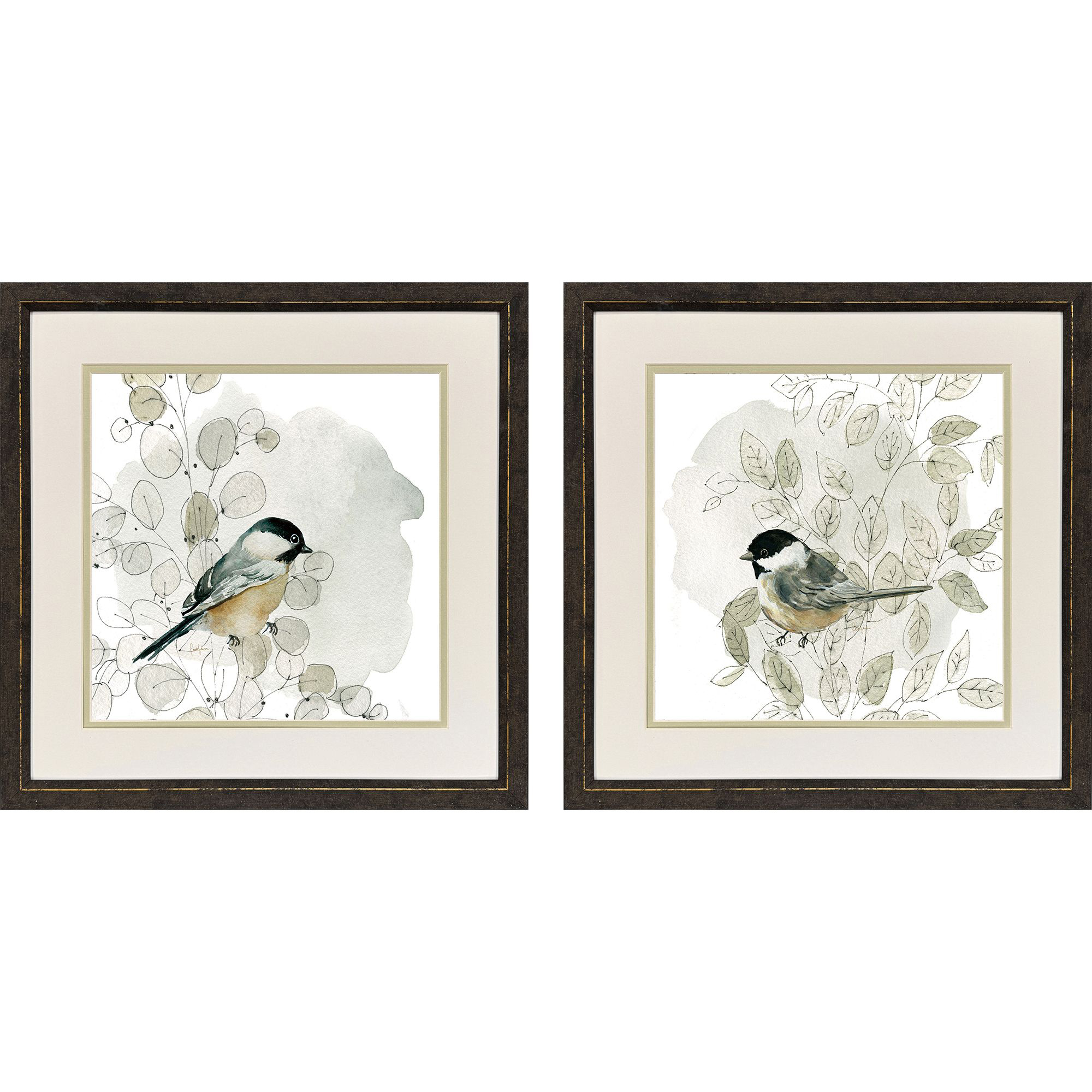 Botanical Sketch Bird Green and Multi and Gray and Black Framed Art, Propac