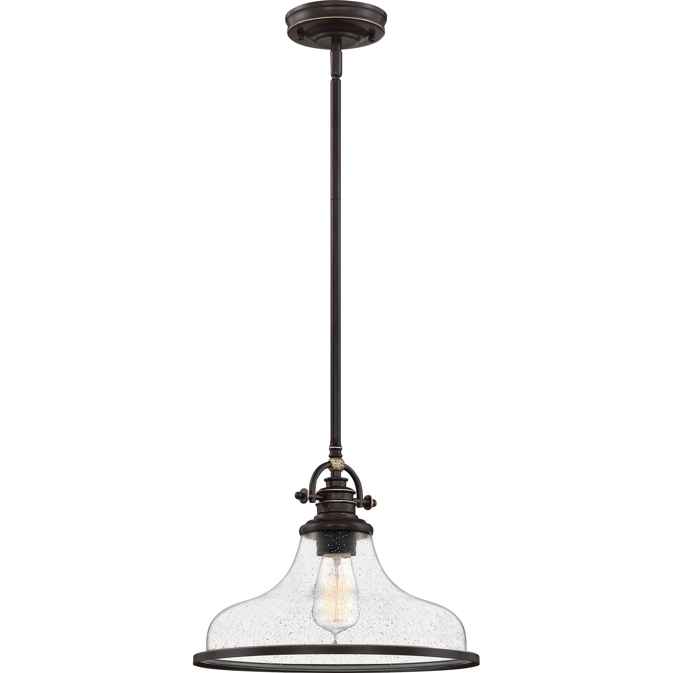 Grant 1 Light 13.5 inch Palladian Bronze Pendant Ceiling Light in Clear Seedy Glass