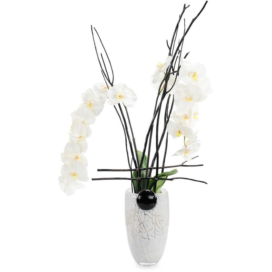 Midnight Phals Floral