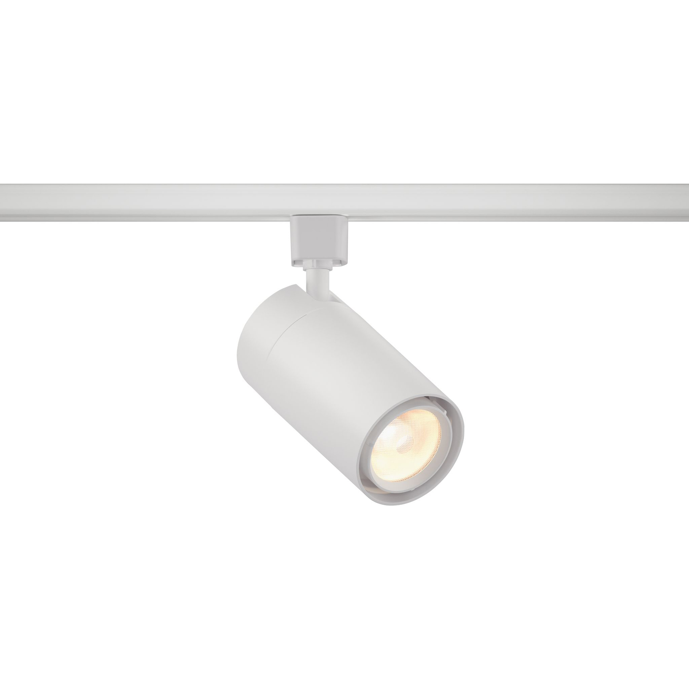 GX25 1 Light 120 White Track Light Head Ceiling Light, For ECOJ/JUNO Track