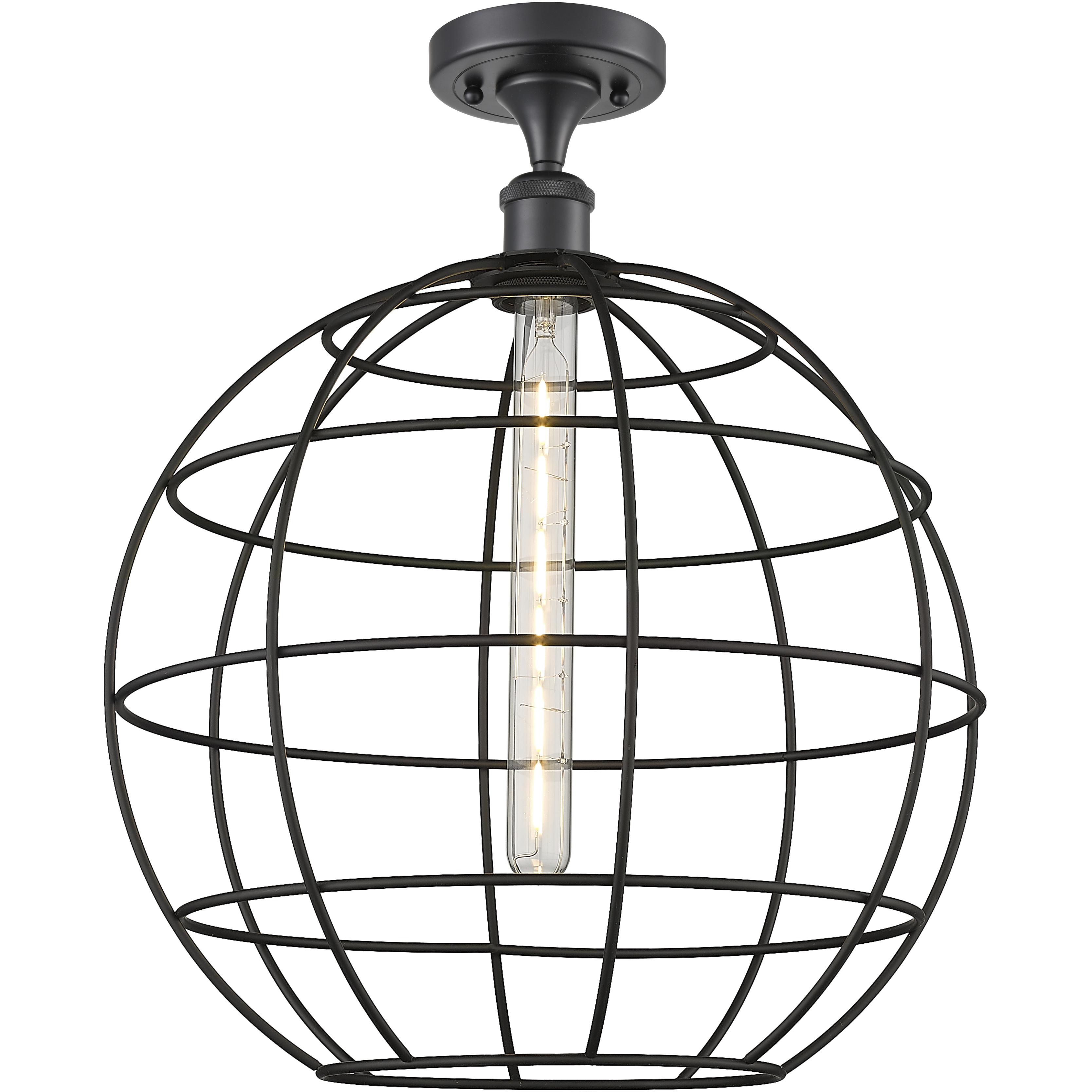 Lake Placid 1 Light 16 inch Matte Black Semi-Flush Mount Ceiling Light