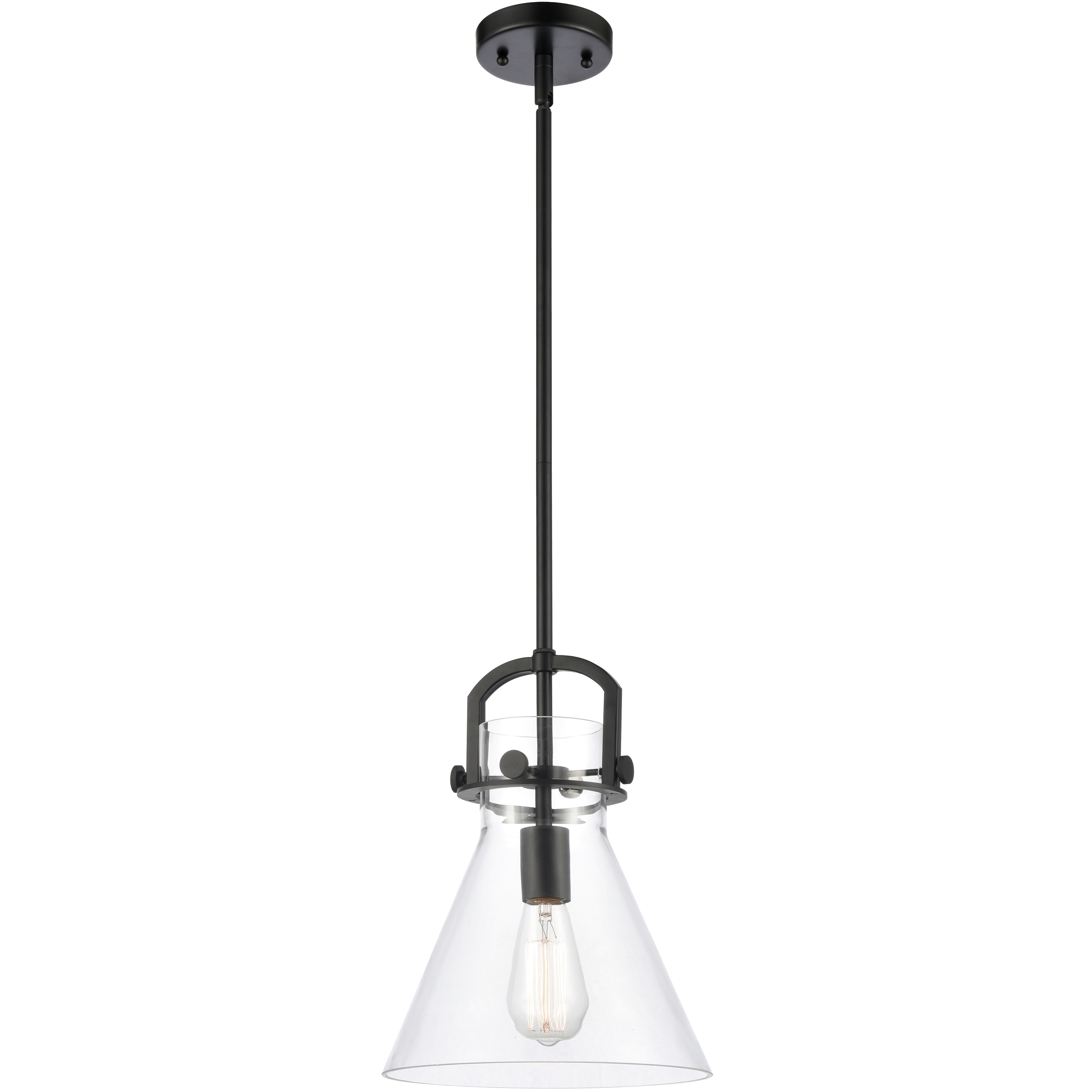 Newton Cone 1 Light 10 inch Matte Black Mini Pendant Ceiling Light in Clear Glass