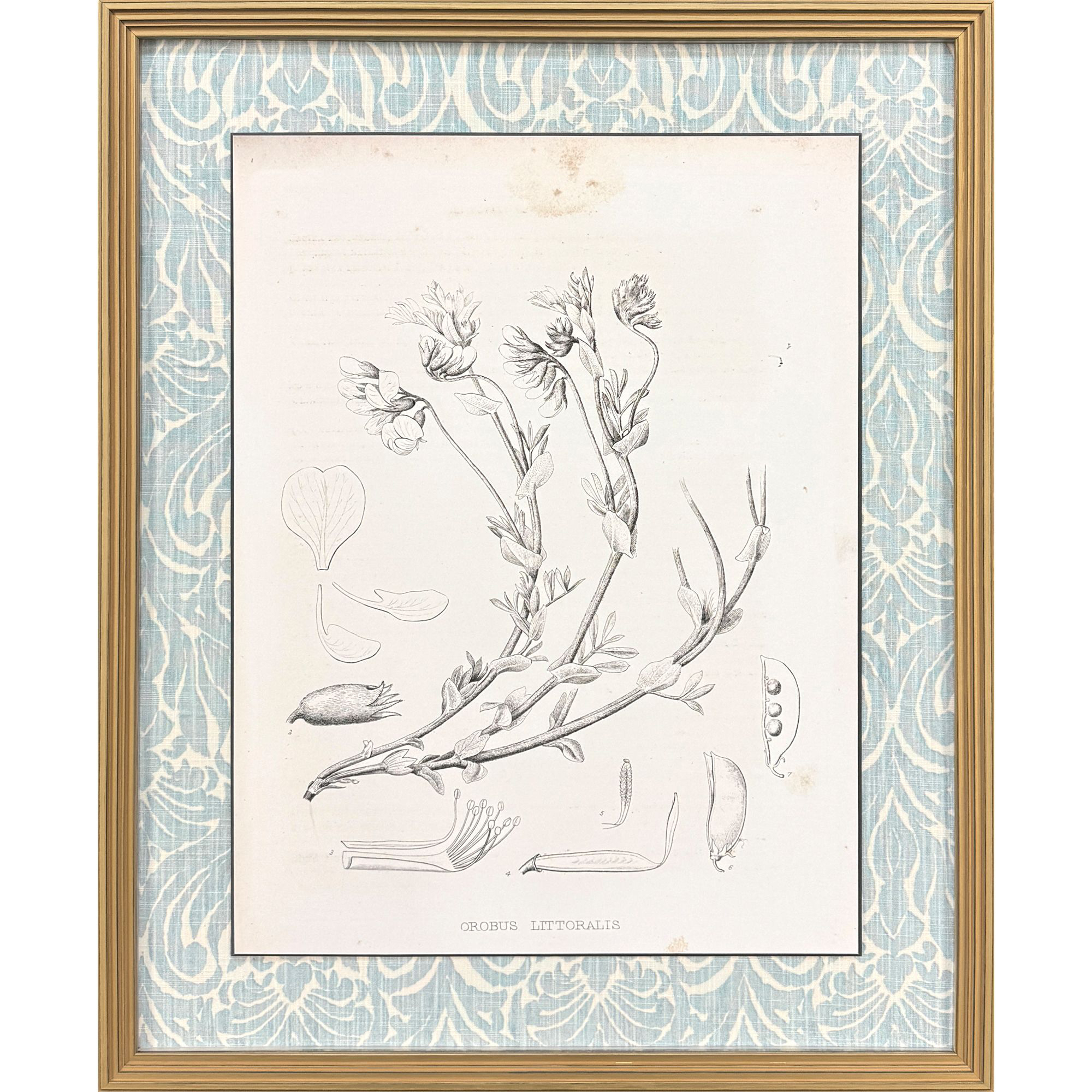 Botanical Sketch IV Gray and Beige and Neutral and Sepia Framed Art