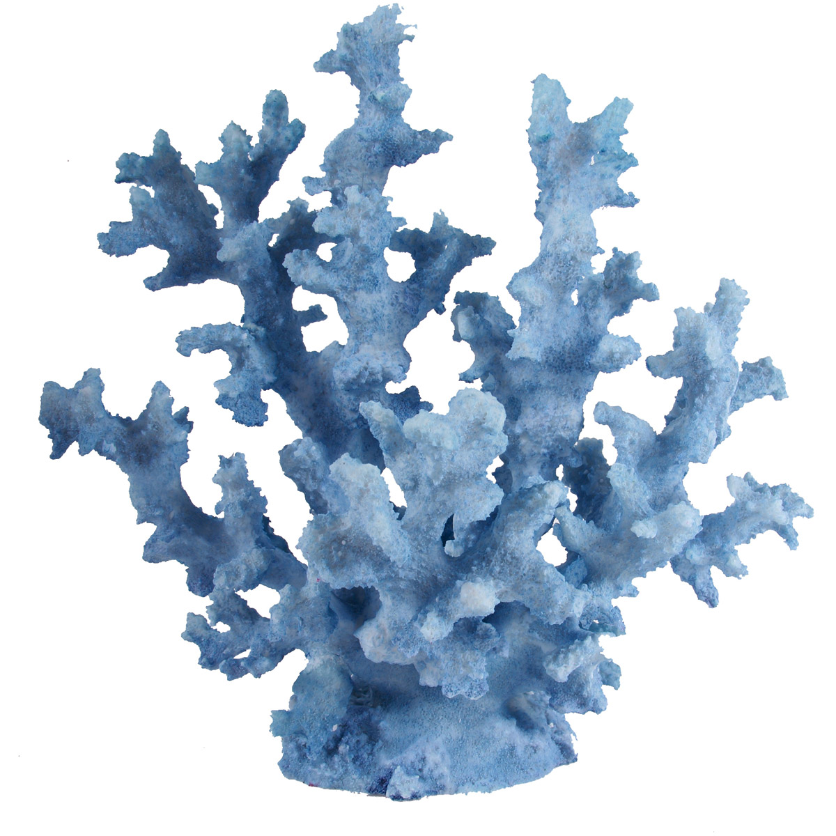 Coral Blue D&eacute;cor