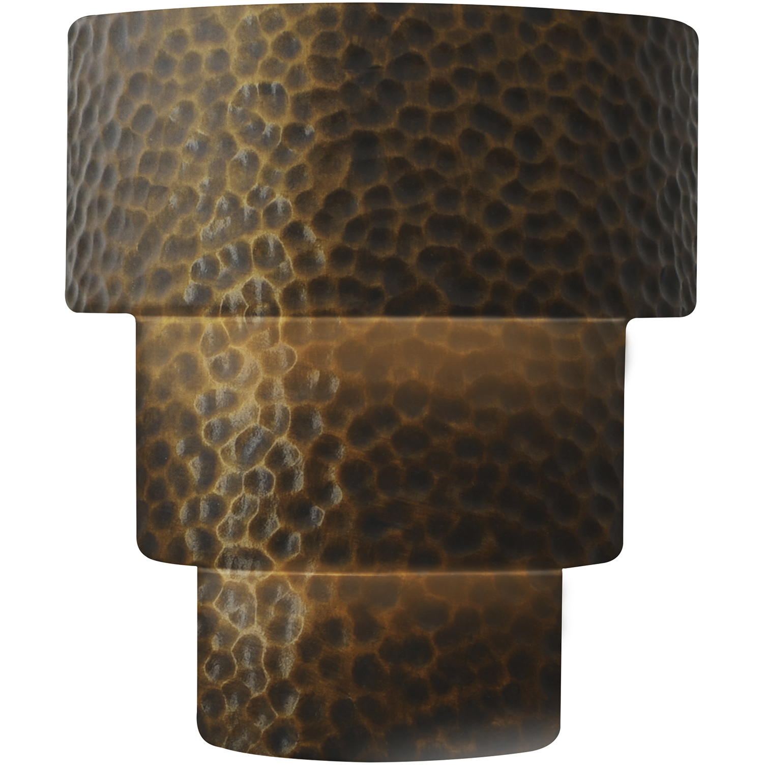 Ambiance Collection LED 12.75 inch Hammered Polished Brass Wall Sconce Wall Light in Dedicated LED, Form+Finish+Function
