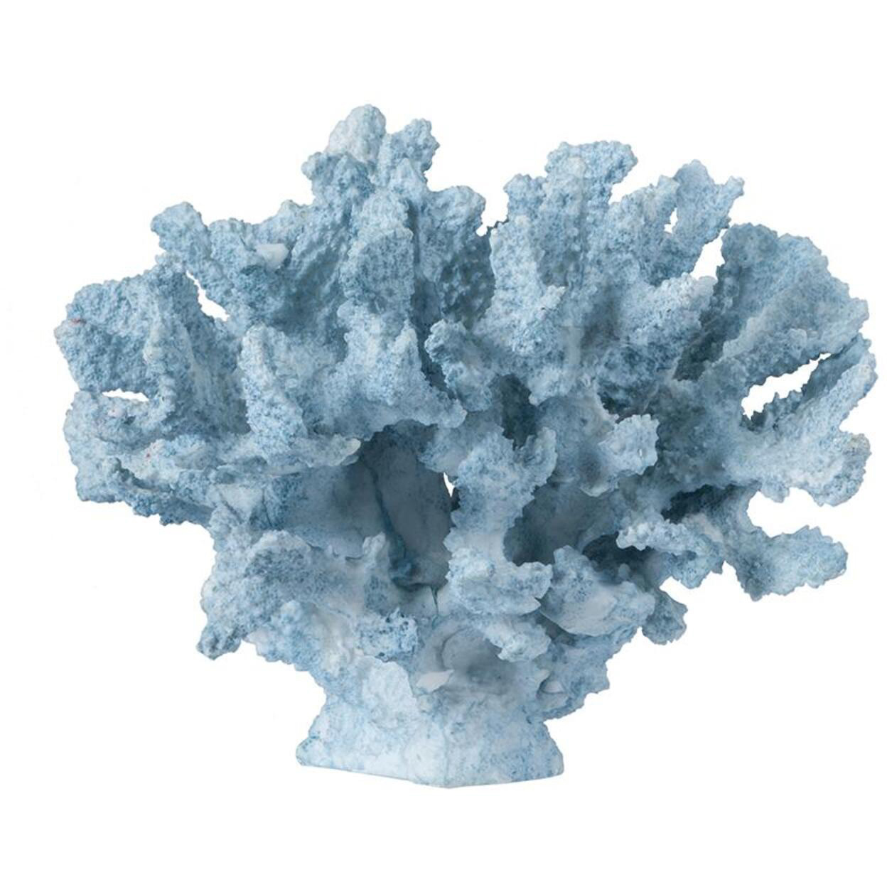 Coral Light Blue D&eacute;cor