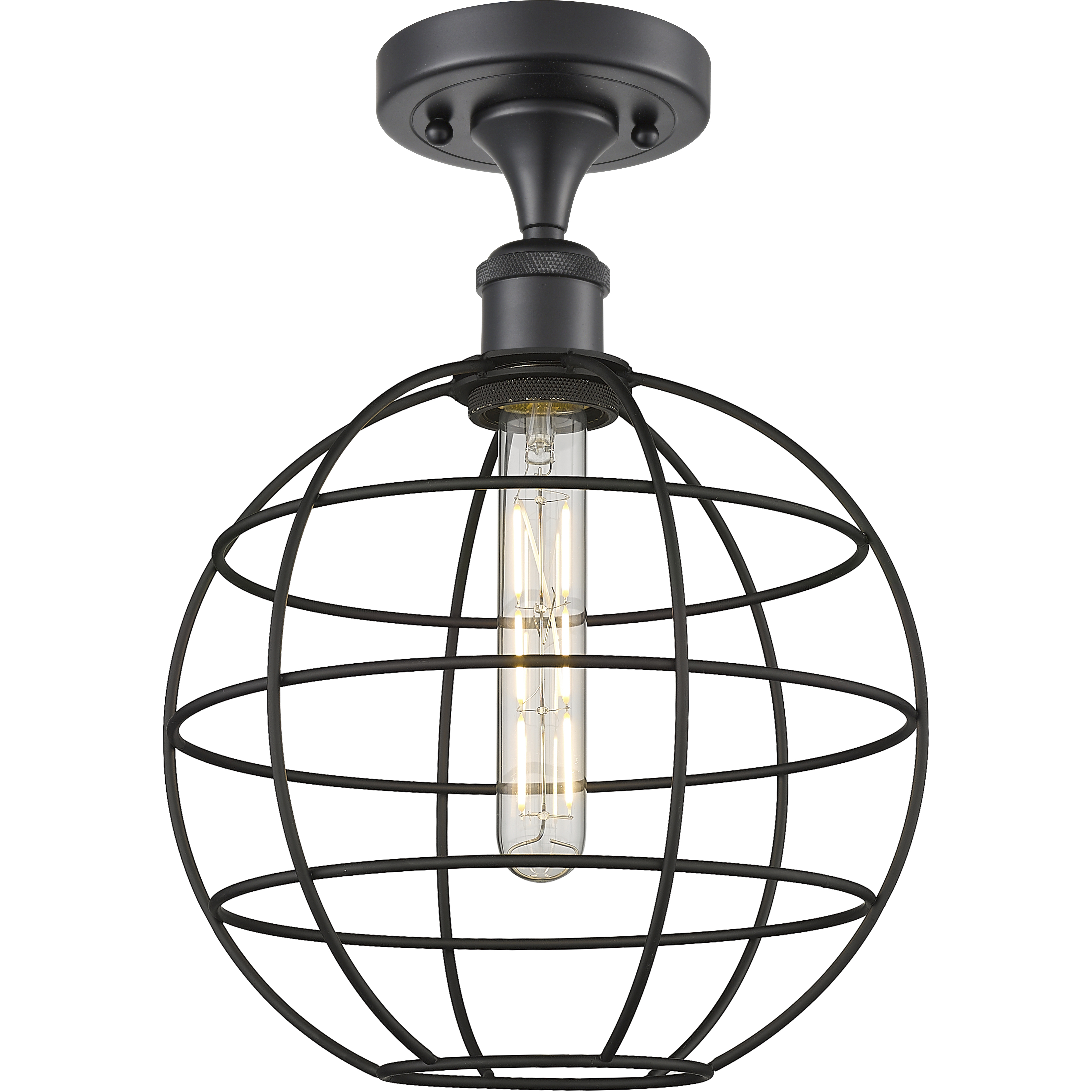 Lake Placid 1 Light 9.5 inch Matte Black Semi-Flush Mount Ceiling Light