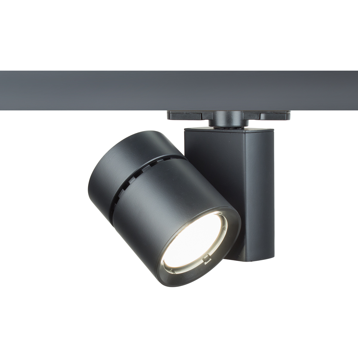 Exterminator II 1 Light 120 Platinum Track Head Ceiling Light in Flood, 85, 2700K