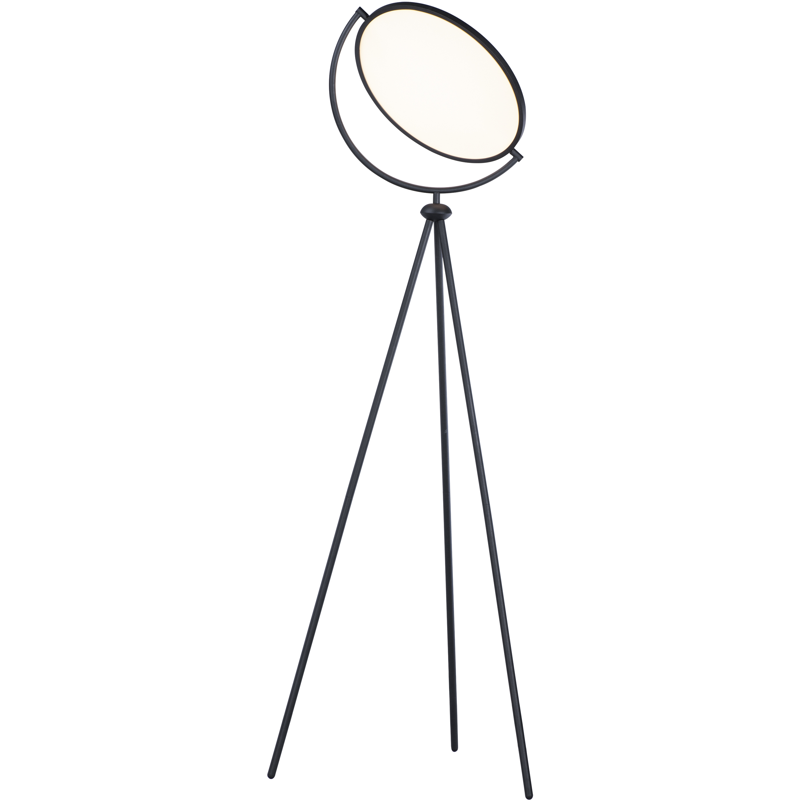 Paddle 68 inch 33 watt Black Floor Lamp Portable Light