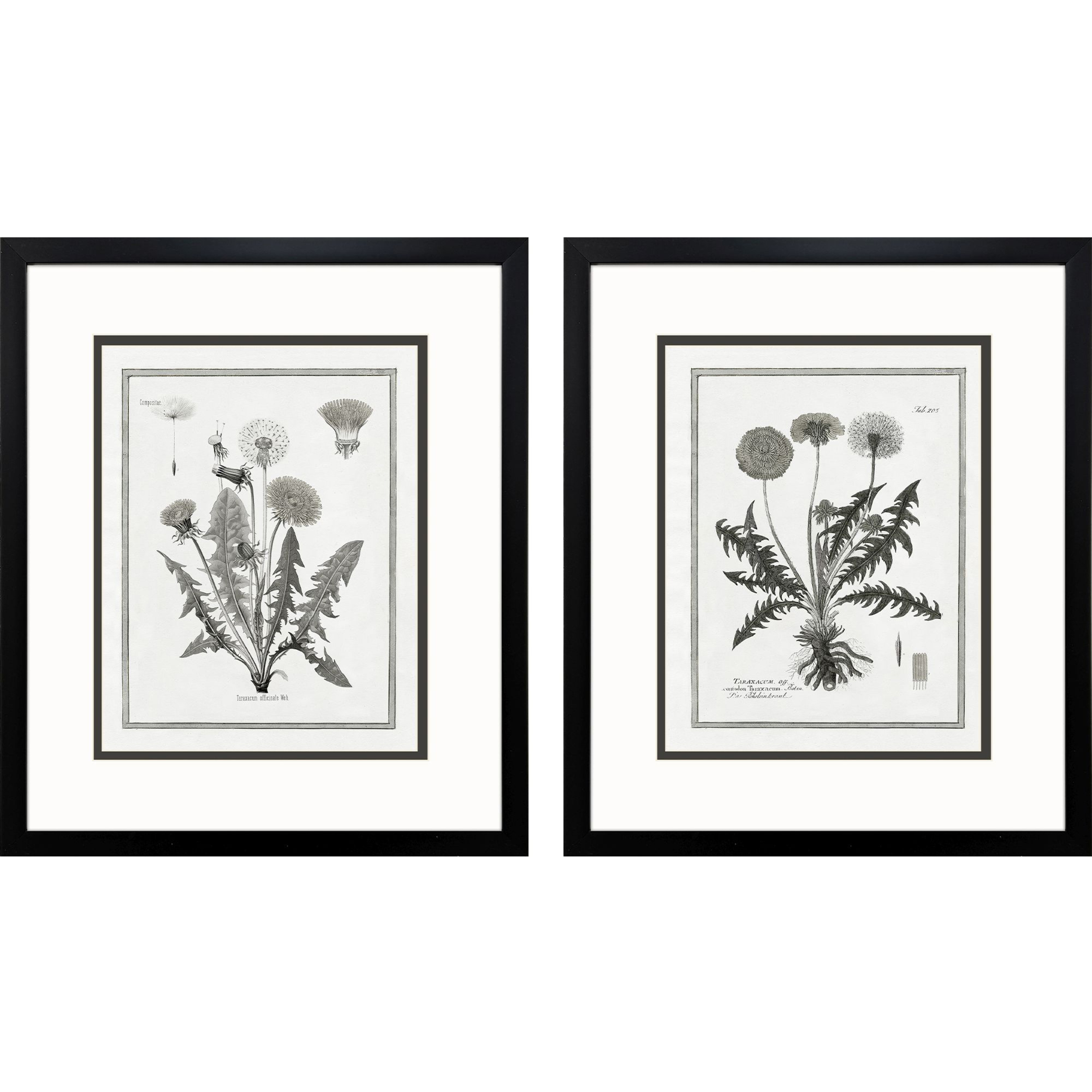 Dandelions Black and Neutral Framed Art, Propac