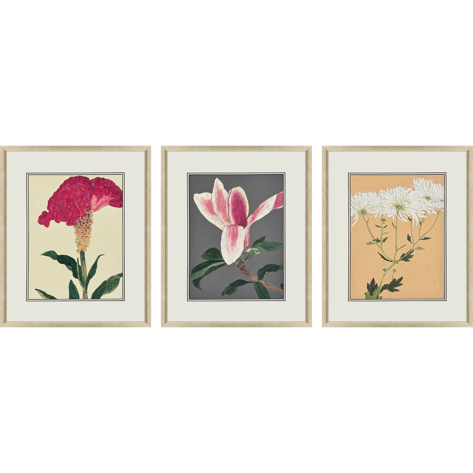 Enchanted Blooms Pink and Beige and Brown and Multi Framed Art