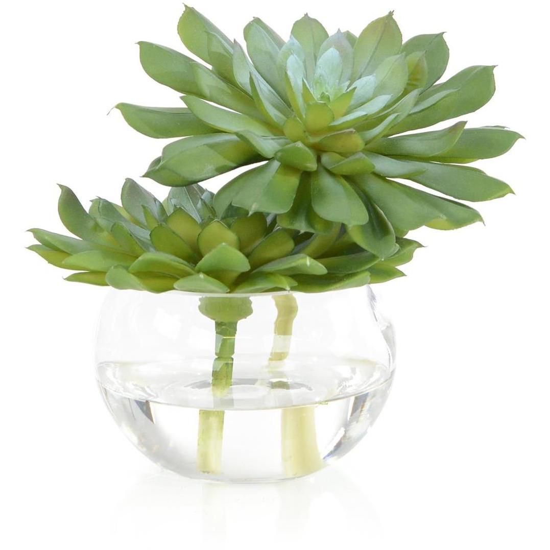 Double Succulent Botanical, Fresh Water Look