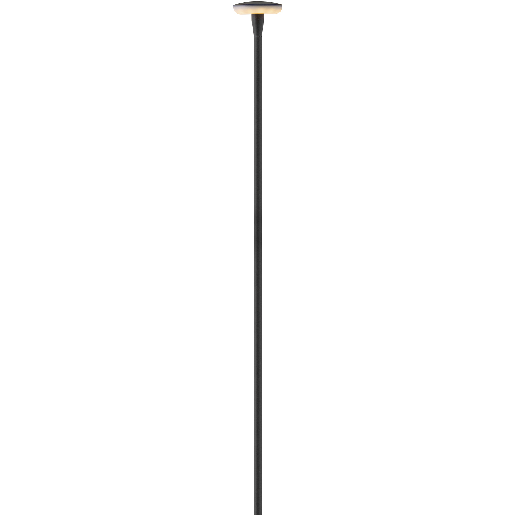 Calie 12v 2.1 watt Black Path Light