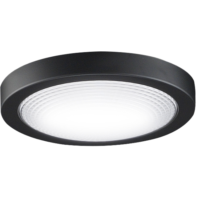 Spitfire LED Black Fan Light