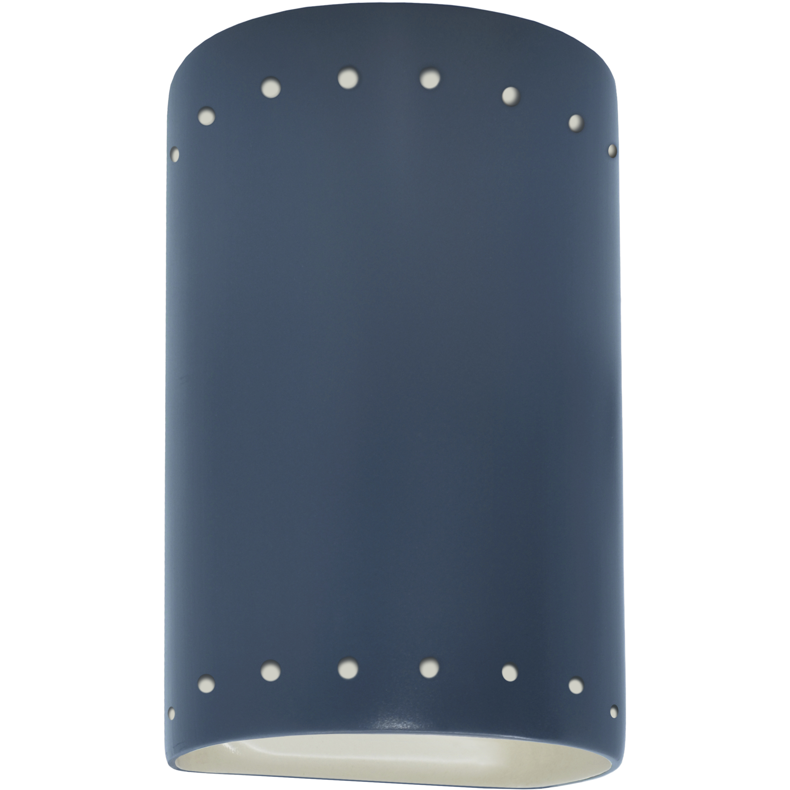 Ambiance Collection LED 9.5 inch Midnight Sky/Matte White Outdoor Wall Sconce