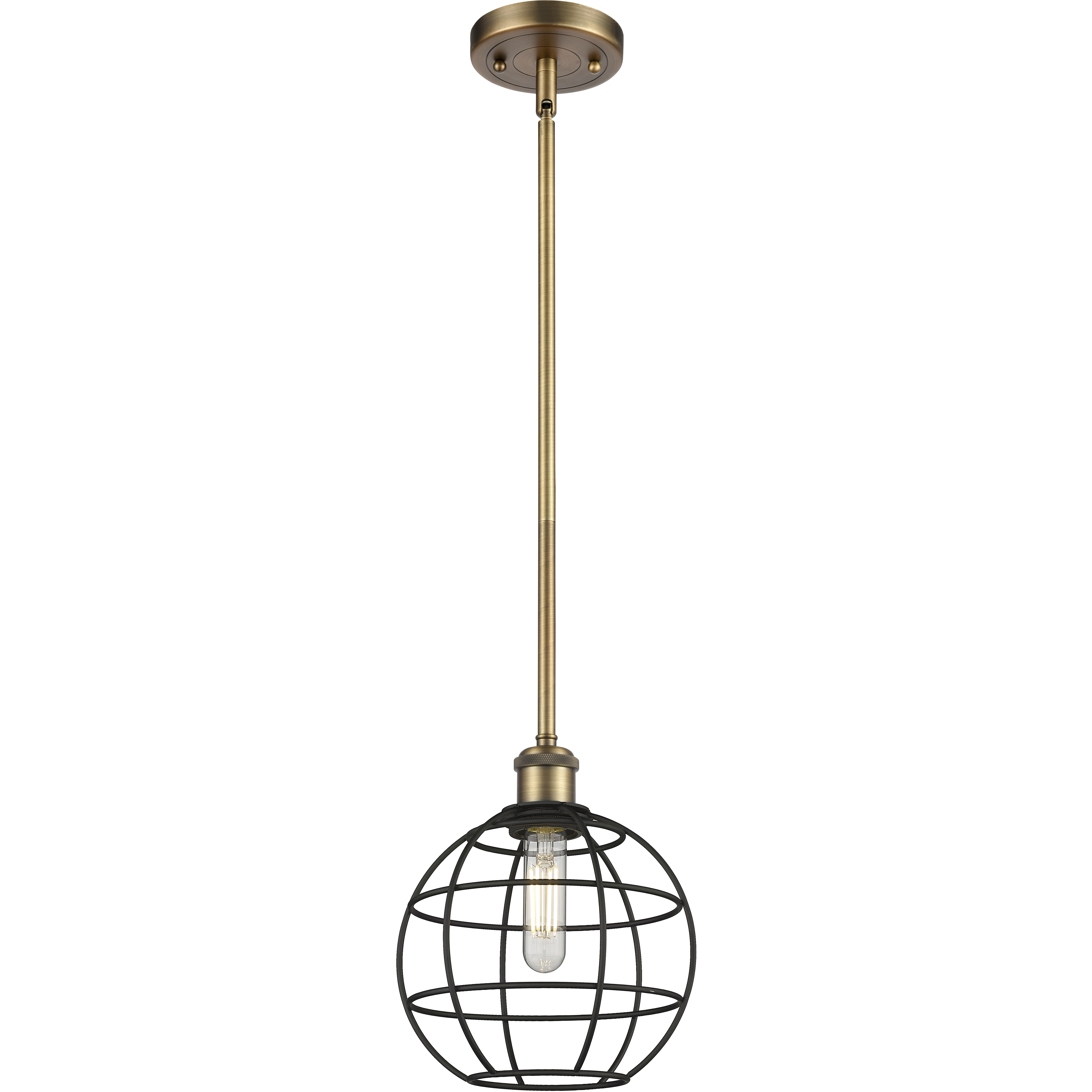Lake Placid 1 Light 8 inch Brushed Brass Pendant Ceiling Light