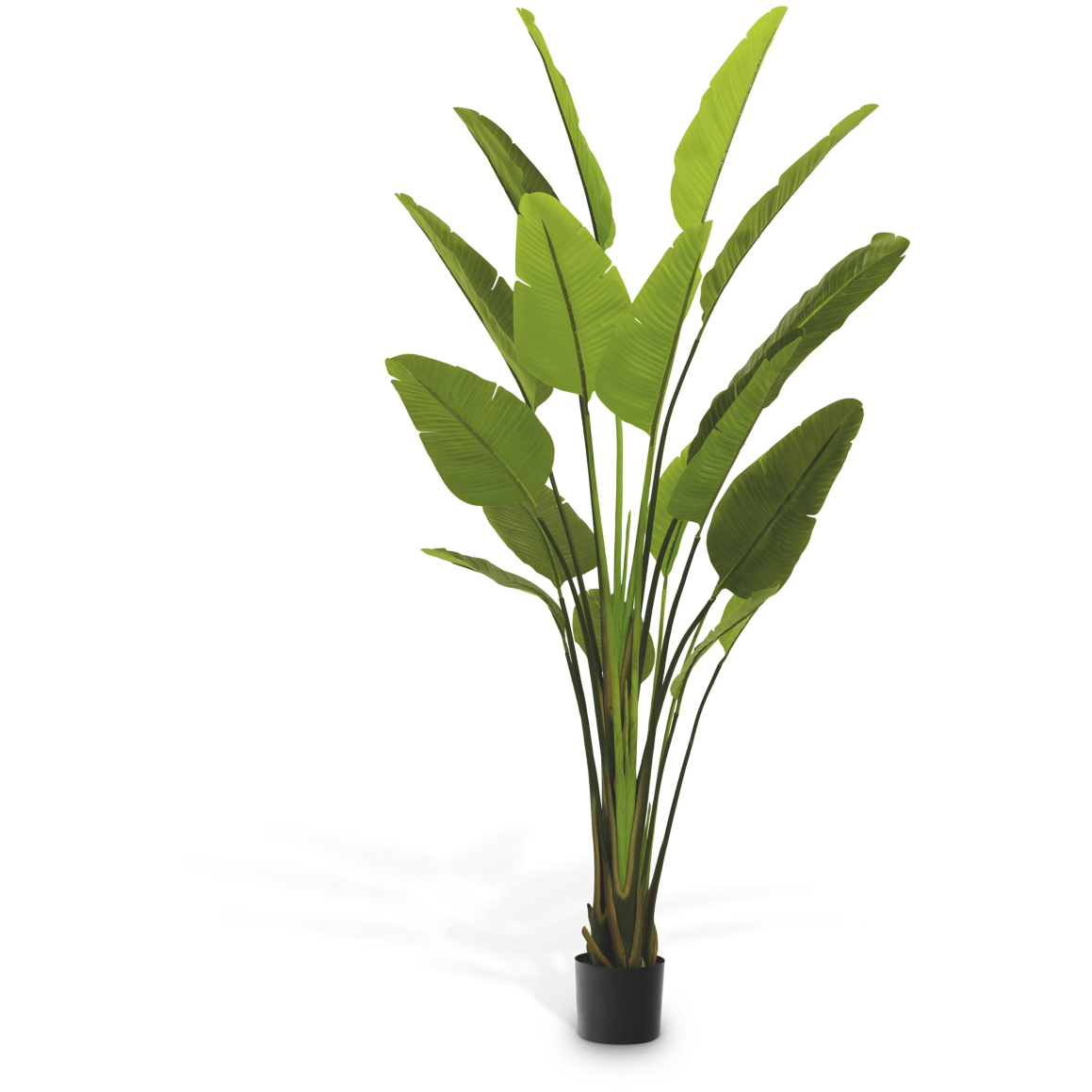 Strelitzia Green Tones Artificial Plant