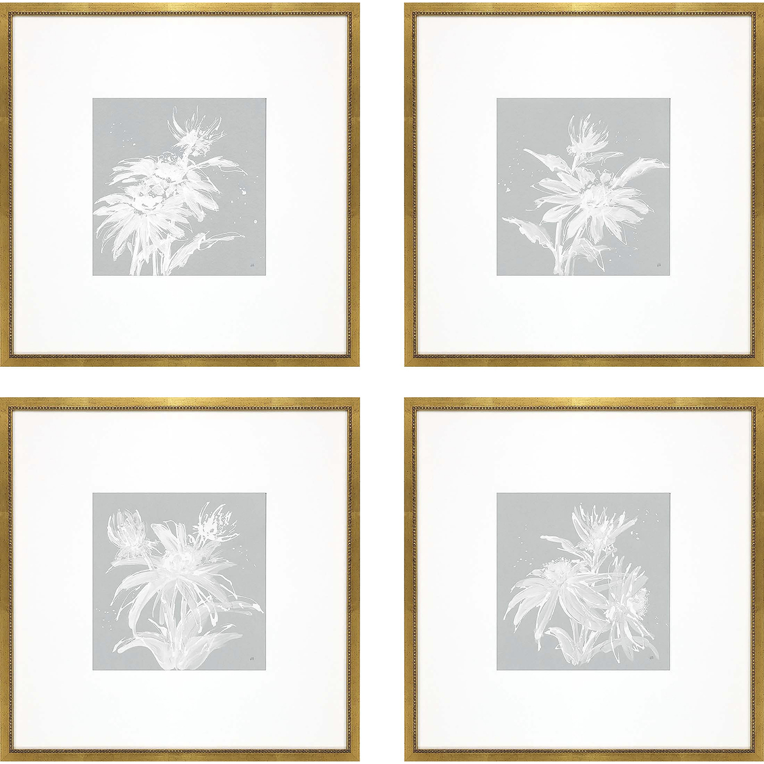 Echinacea / Leaf Study Blue and White Framed Art