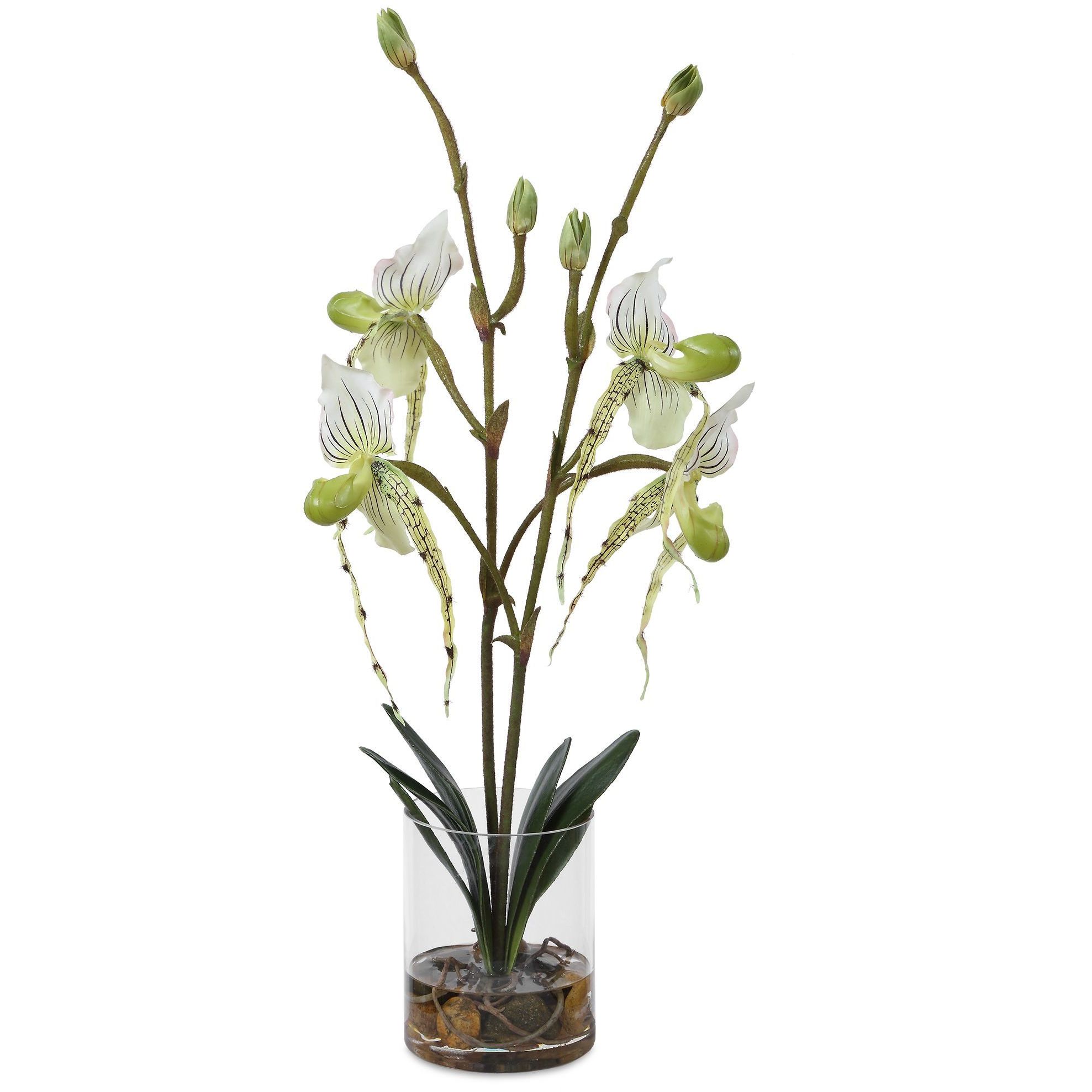 Lady White and Green and Clear Orchid In Glass Vase