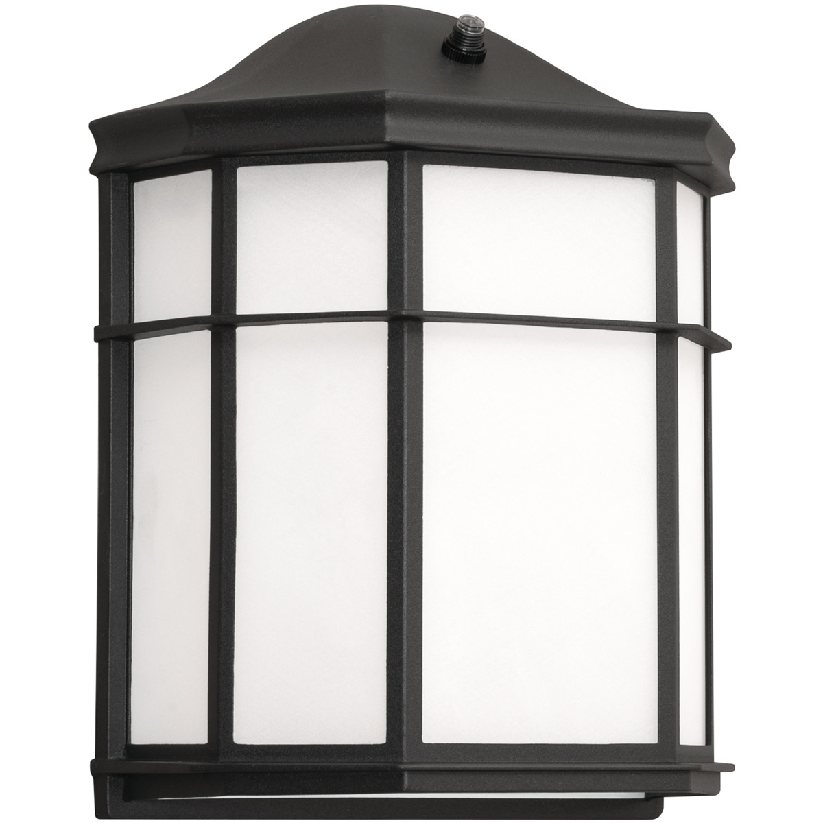 Bristol 1 Light 9.5 inch Black Outdoor Wall Sconce