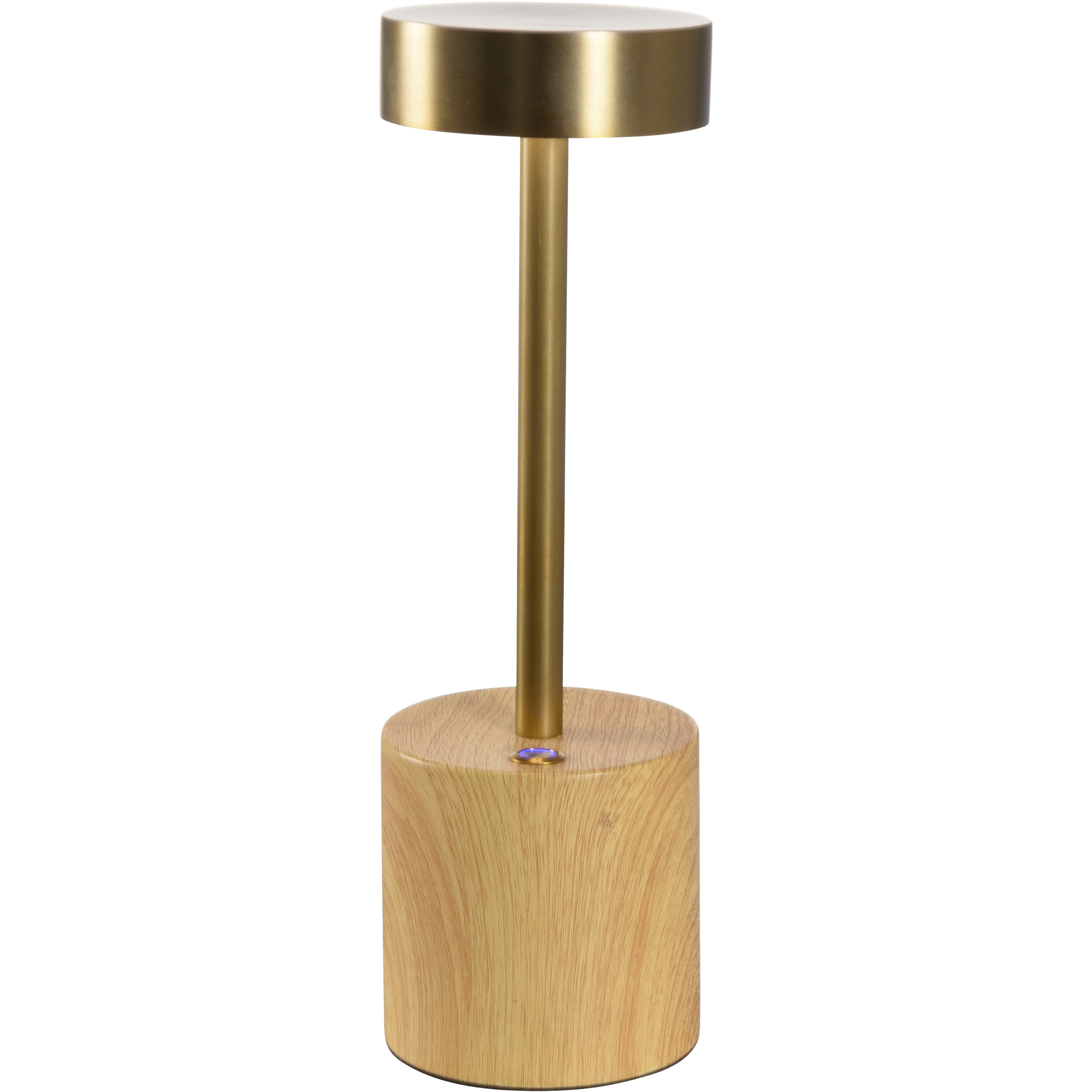 Theodore 10 inch Brown and Gold Rechargeable Table Lamp Portable Light