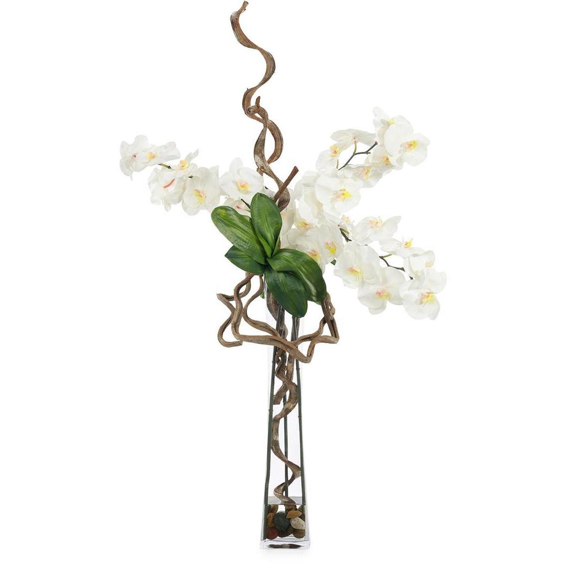 Nature in Bloom Botanical/Floral