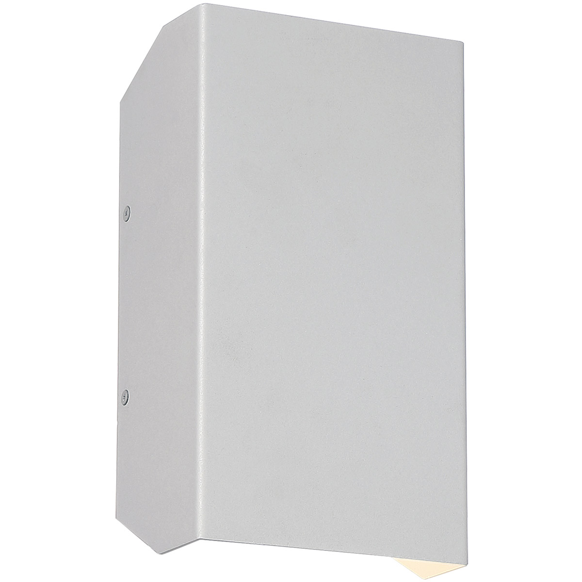 Amora LED 10 inch Satin Outdoor Wall Sconce