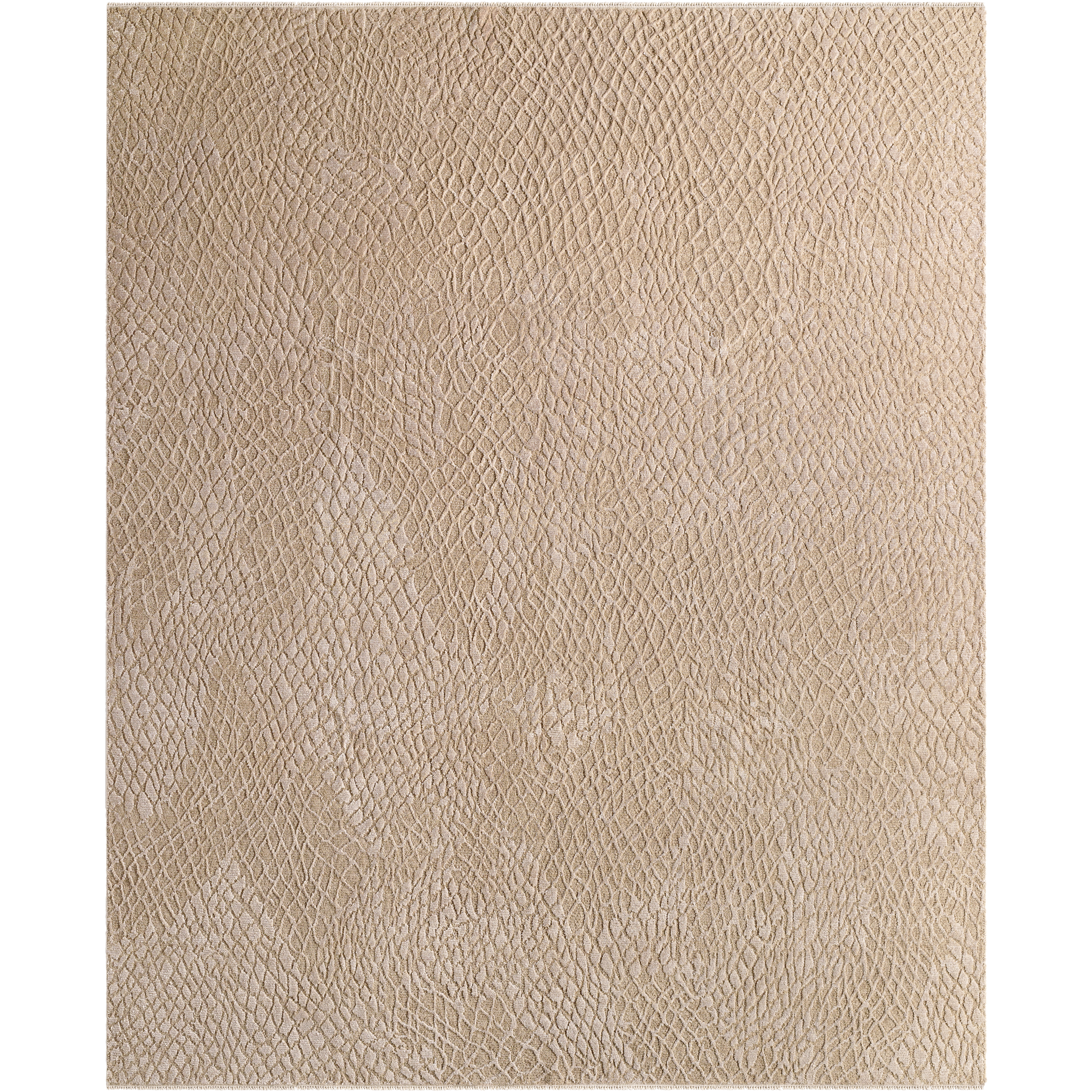 Reyyan 120 X 96 inch Rug
