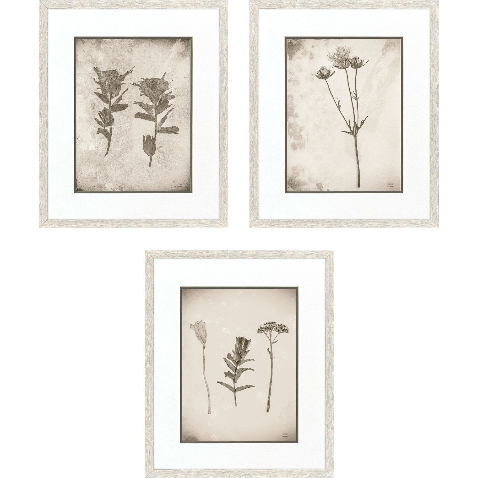 Wildflower Stems Brown and Gray and Neutral Framed Art, Propac