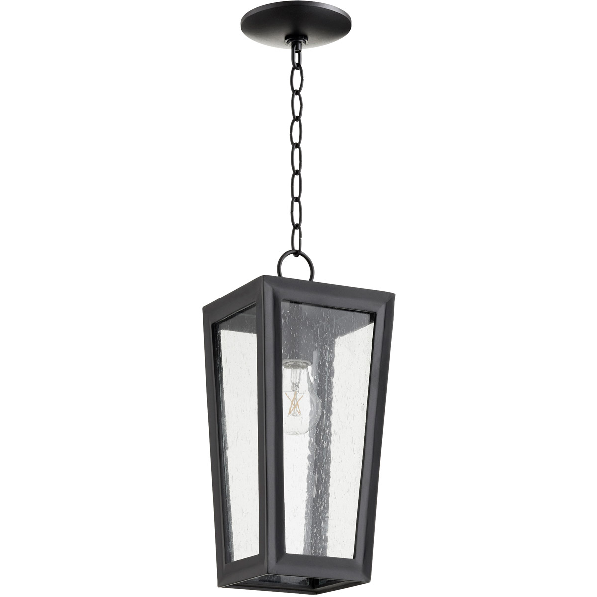 Bravo 1 Light 6.5 inch Noir Outdoor Pendant
