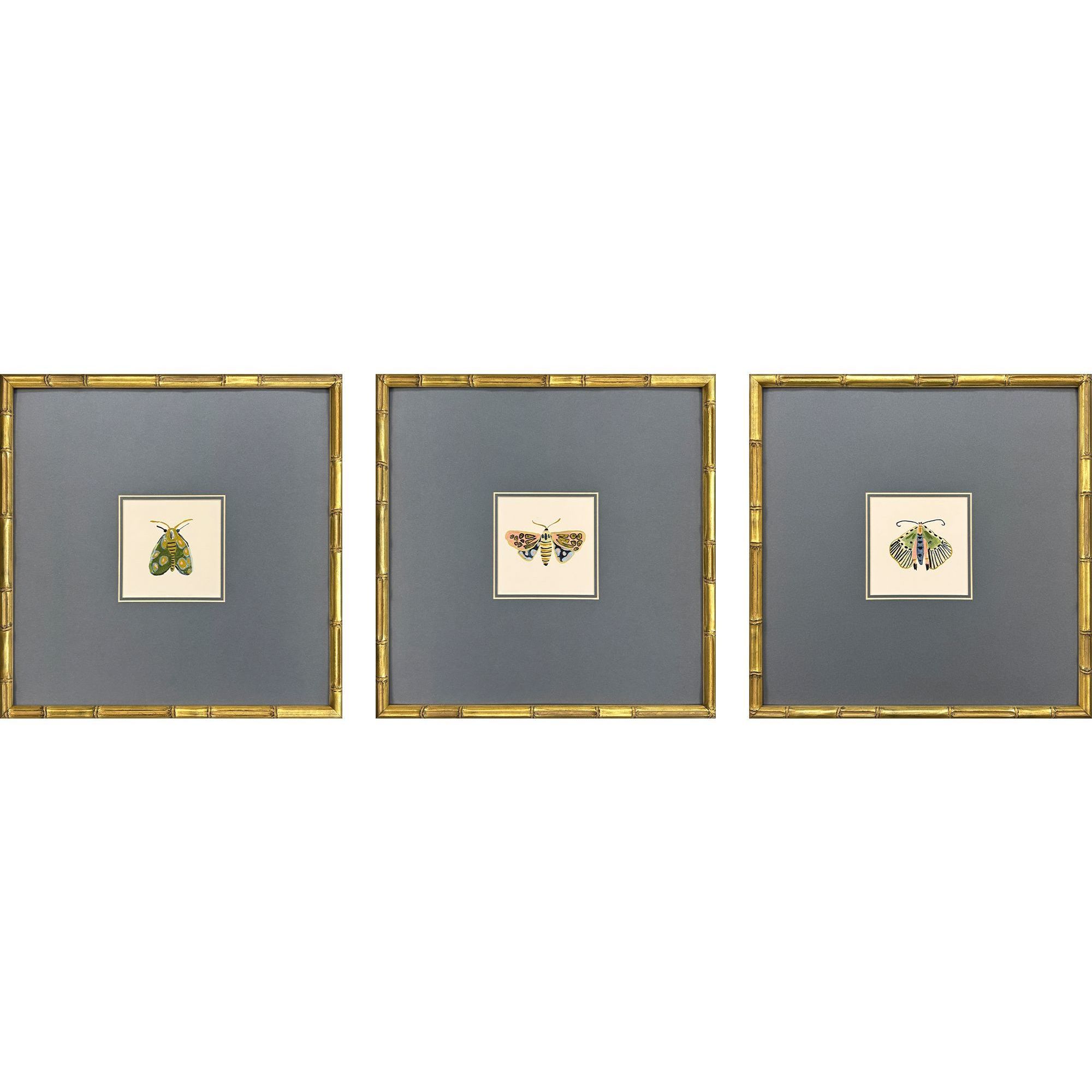 Pastel Moths Green and Blue and Multi and Pink Framed Art
