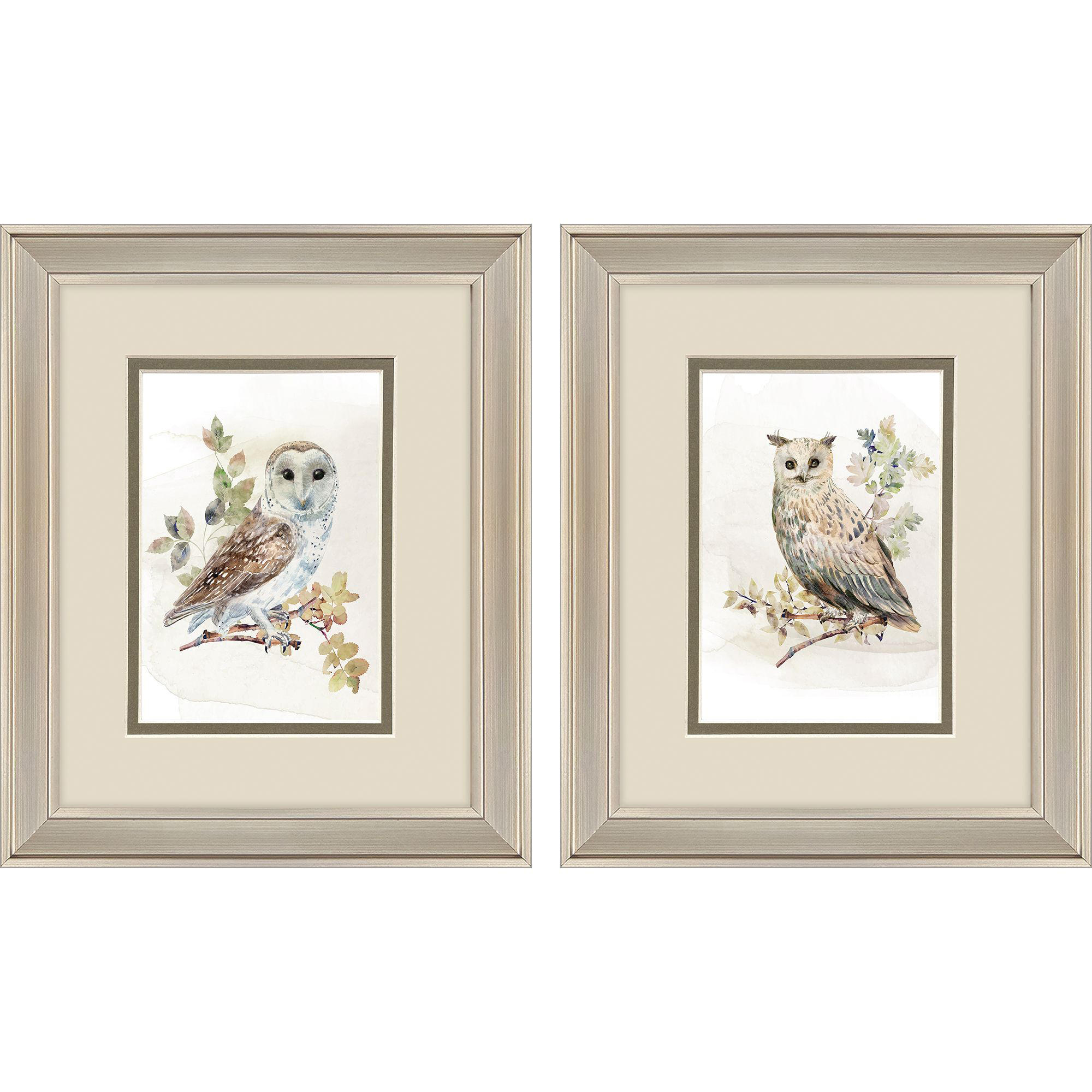 Mystery Emerges Brown and Beige and Green and Multi Framed Art, Propac