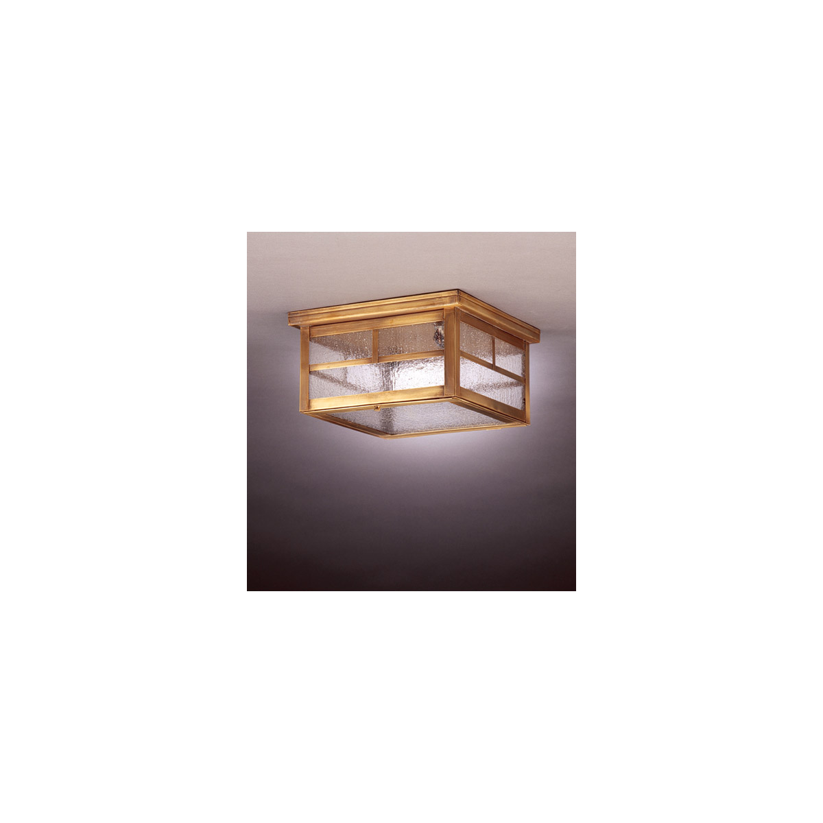 Hunter 2 Light 11 inch Antique Brass Flush Mount Ceiling Light in Clear Seedy Glass