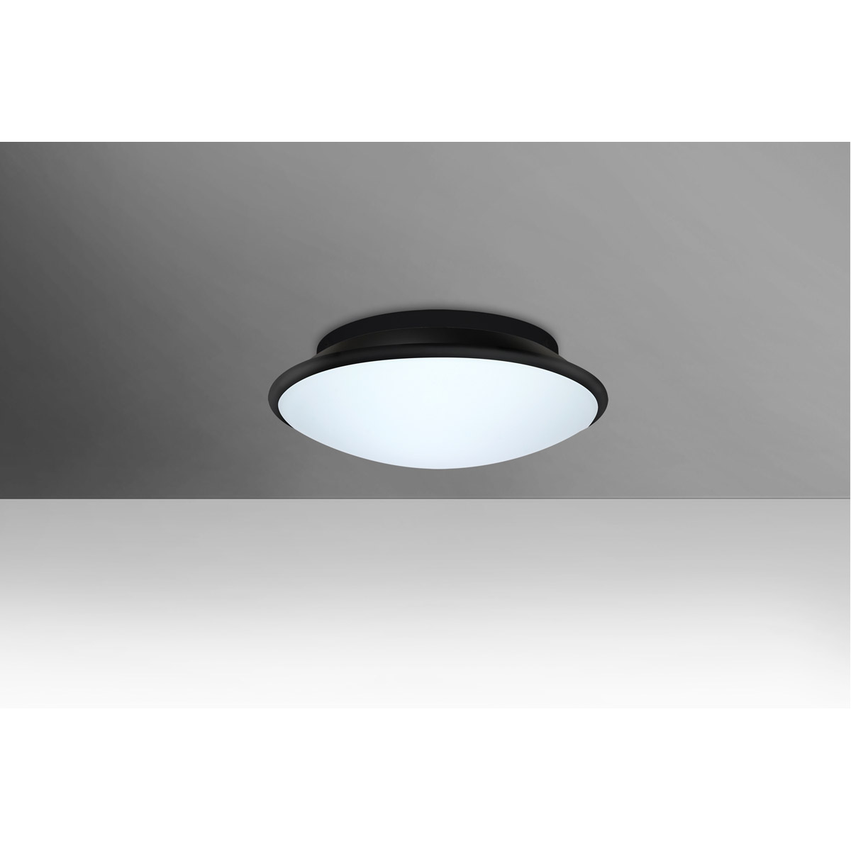 Silk 1 Light 10 inch Flush Mount Ceiling Light