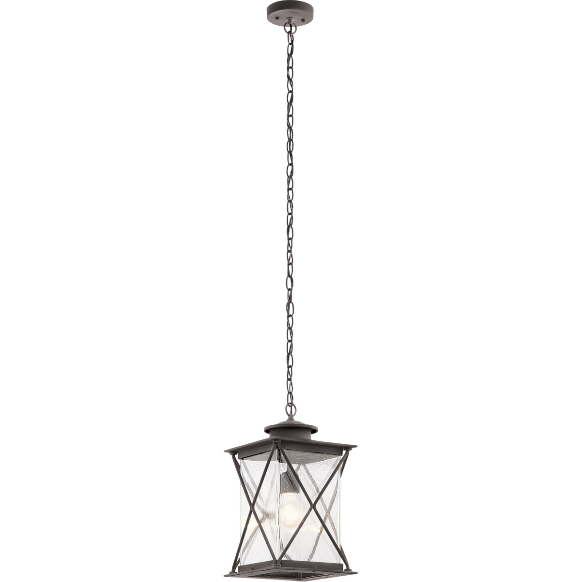 Argyle 1 Light 9.5 inch Weathered Zinc Outdoor Hanging Pendant in Incandescent