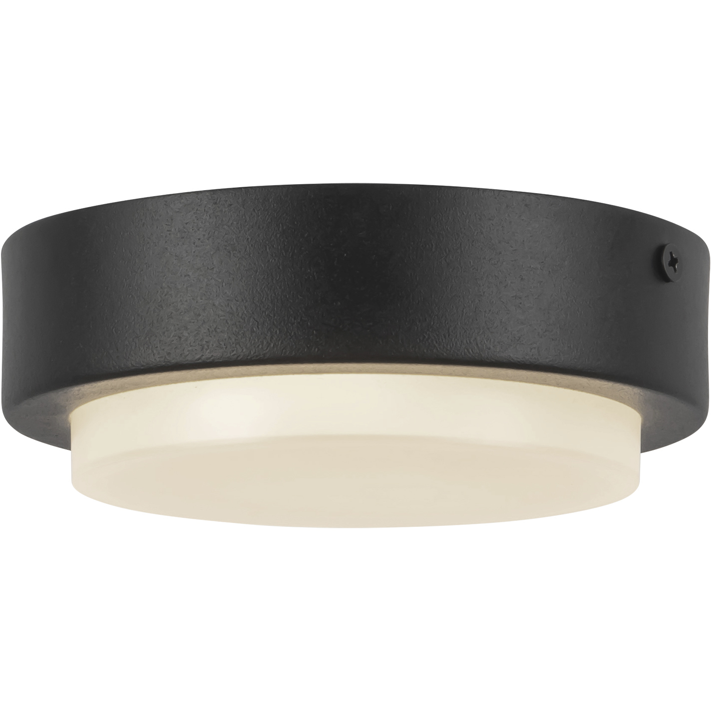 Bailey 5 inch Black Exterior Ceiling
