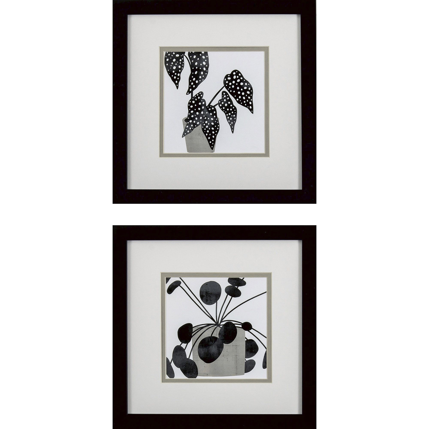 Plantling Black and White and Brown Framed Art, Propac