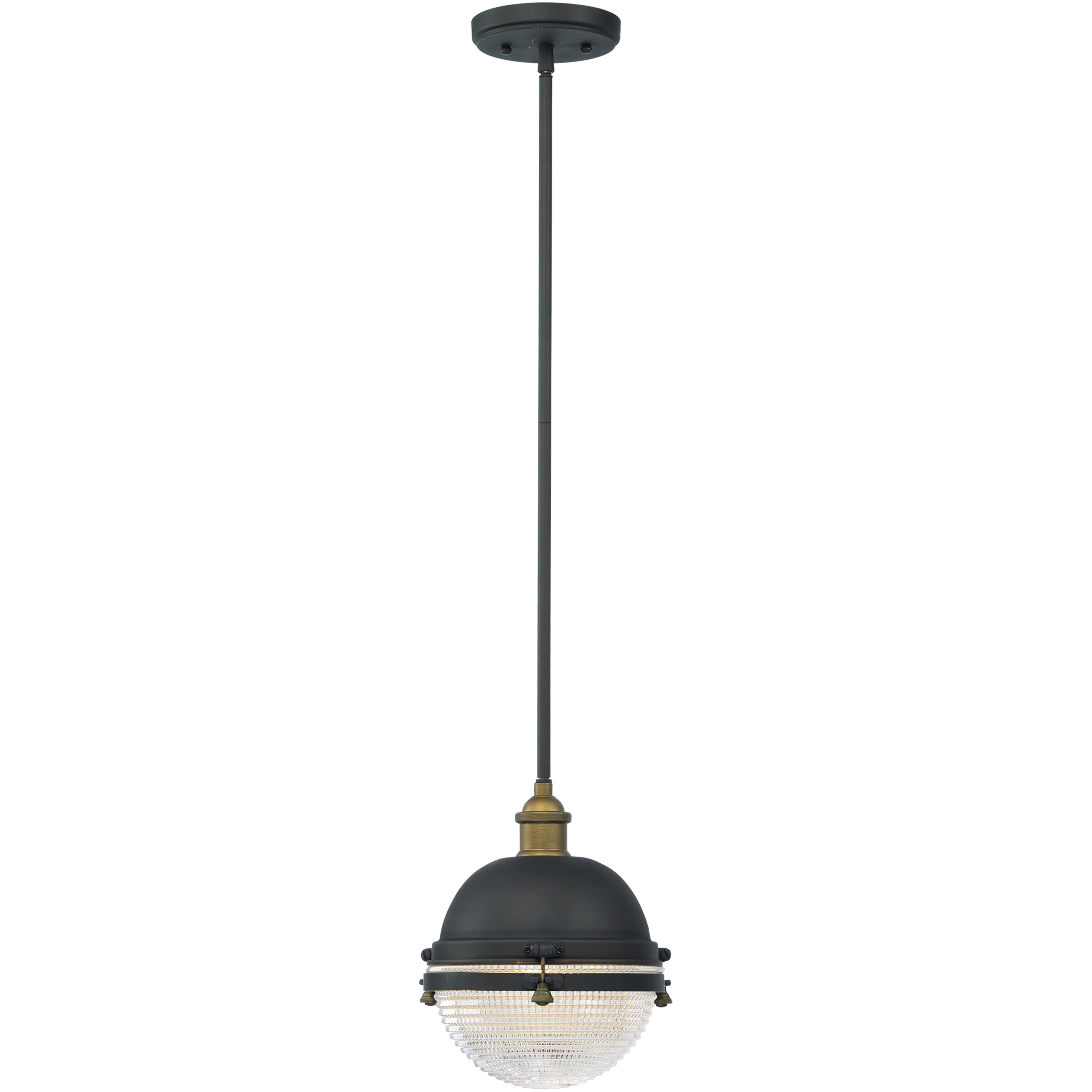 Portside 1 Light 10 inch Oil Rubbed Bronze and Antique Brass Outdoor Pendant