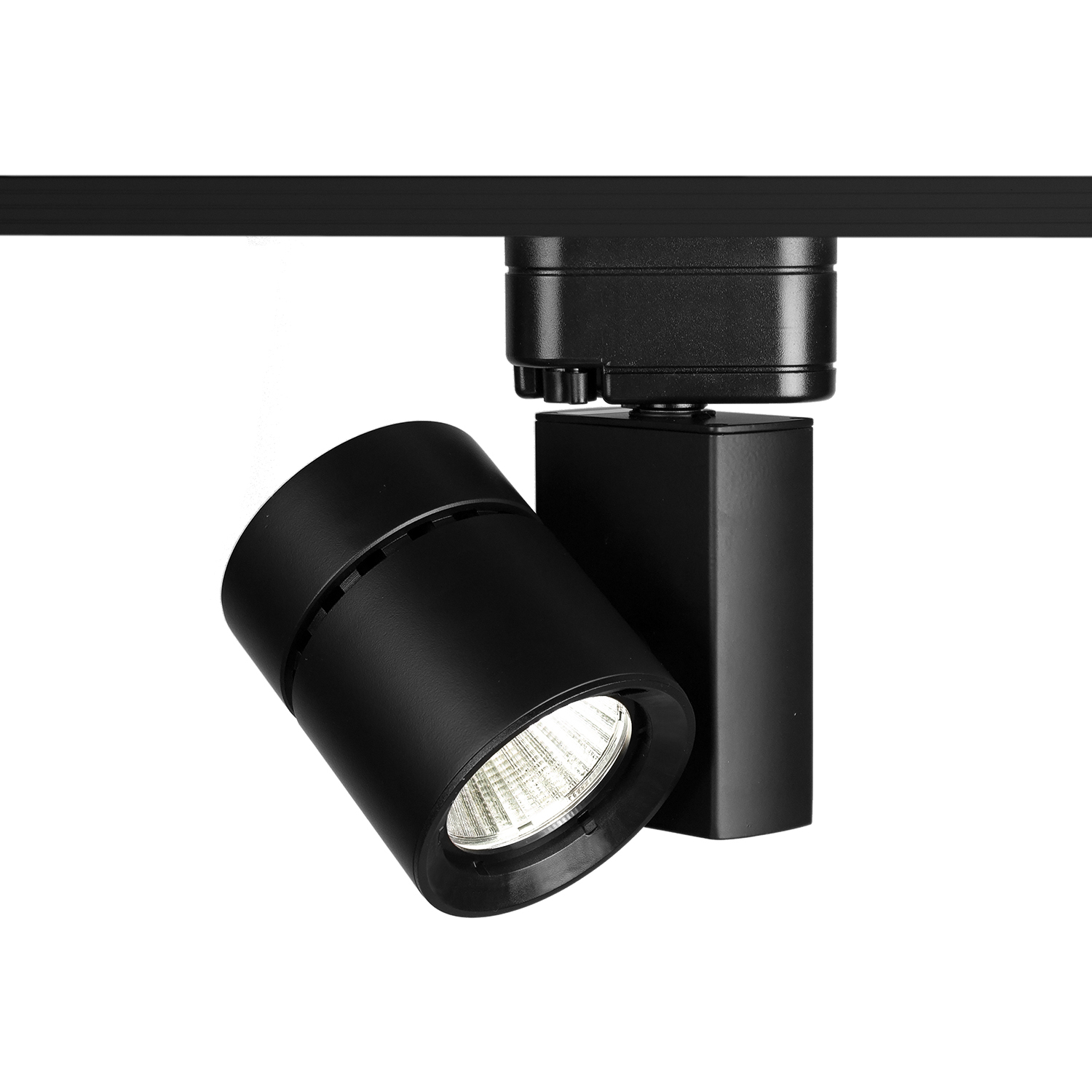 Exterminator II 1 Light 120 Black J Track Fixture Ceiling Light in 3000K