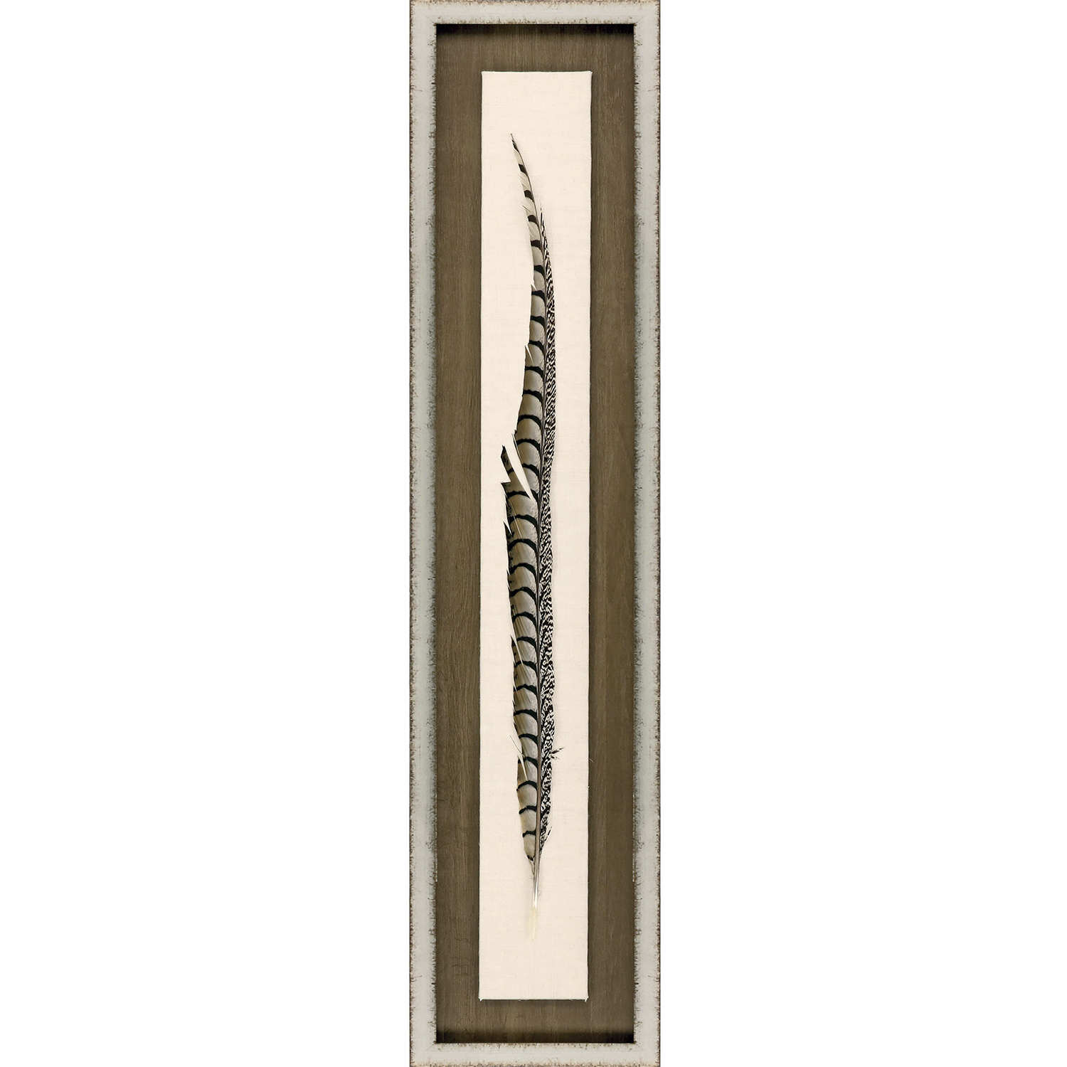 Lady Amhurst Feather / Pheasant Feather Brown and Beige and Black and Neutral Framed Art