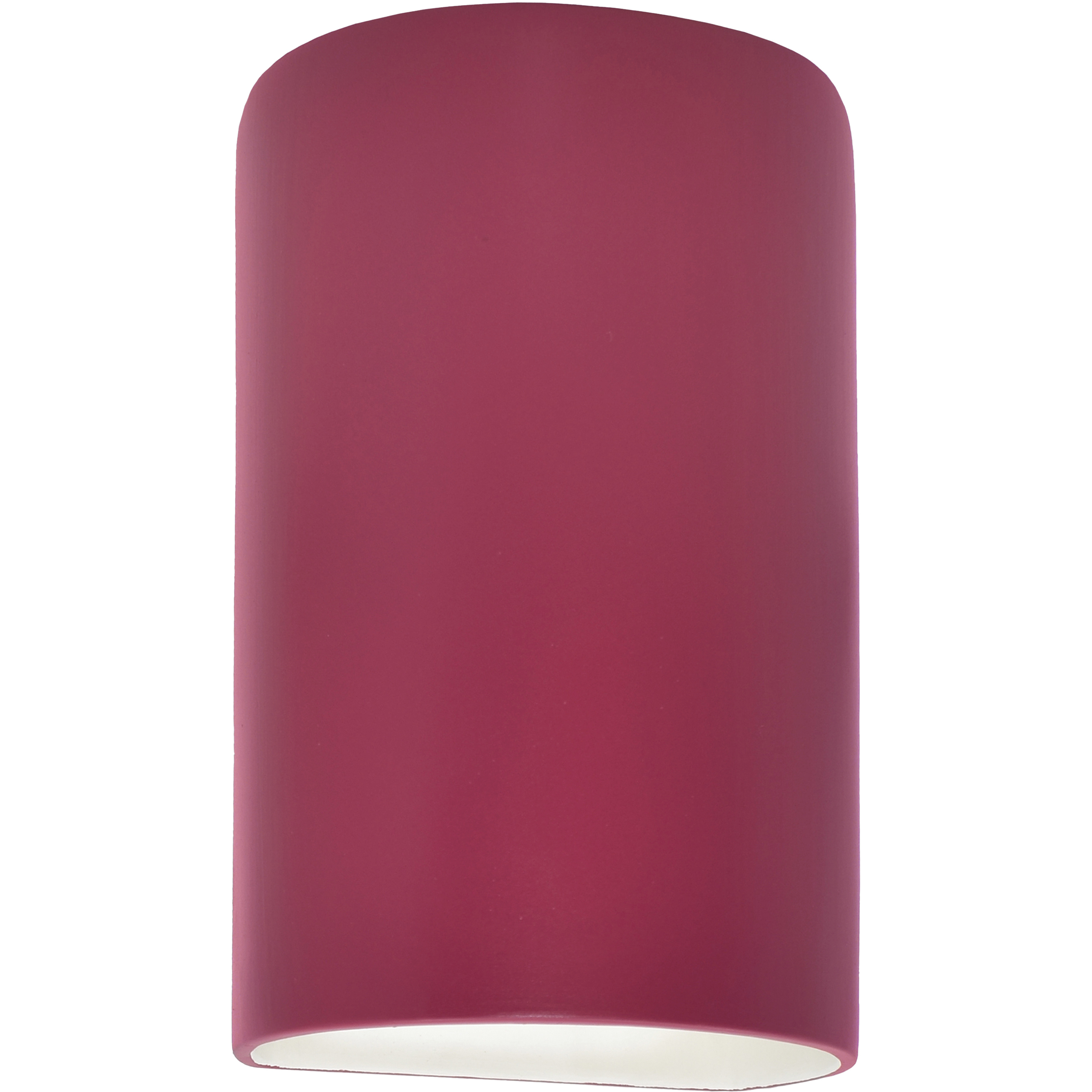 Ambiance Collection LED 12.5 inch Cerise Outdoor Wall Sconce
