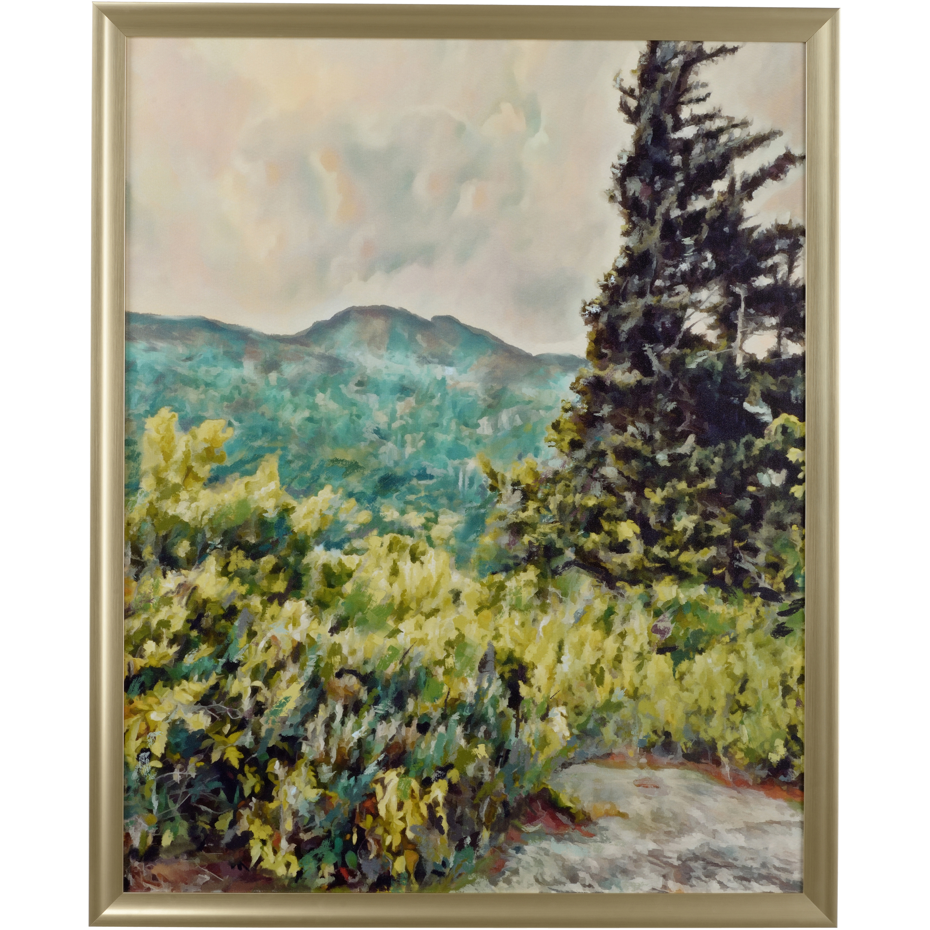 Cloudy 48 X 39 inch Print