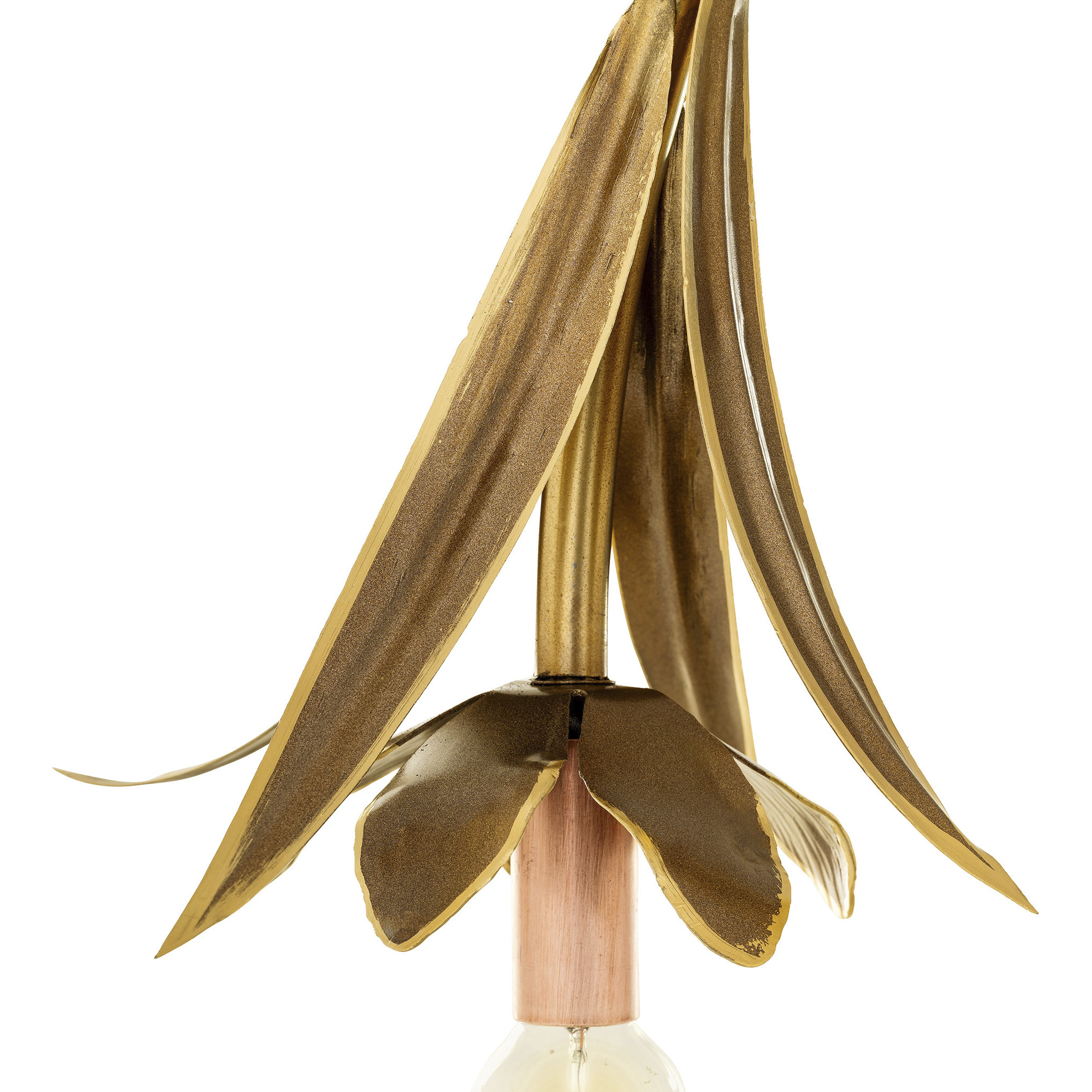 Lowcountry 6 Light Brass and Gold Brush Chandelier Ceiling Light