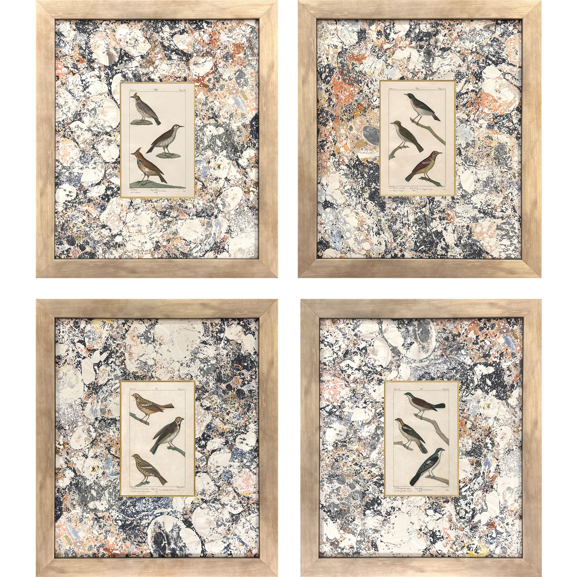La Grieche Birds Brown and Black and Rust Framed Art